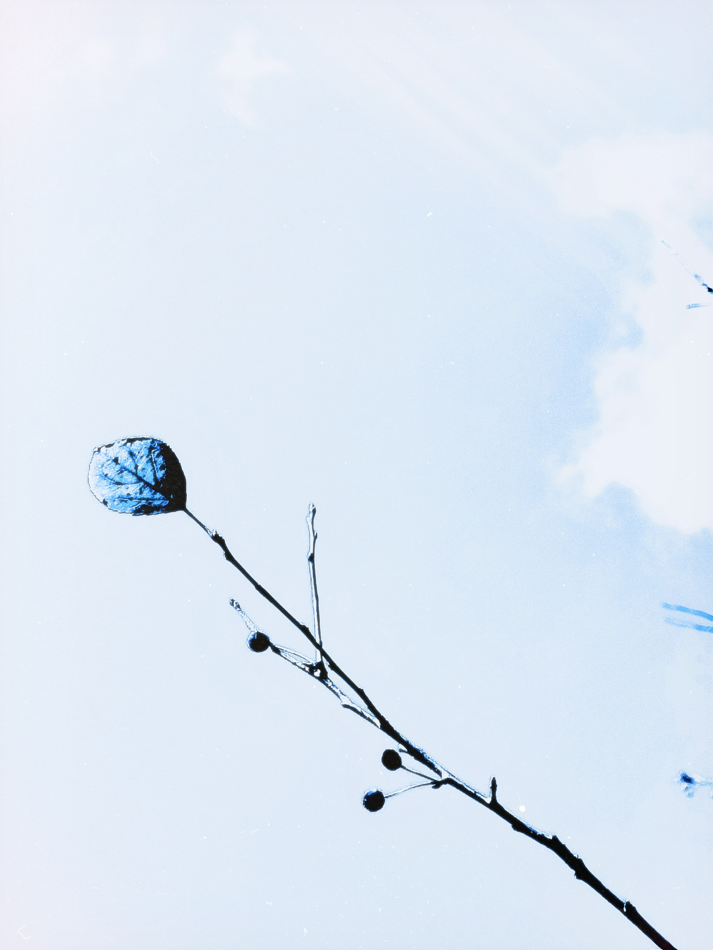 Street/travel. Visual artist Svetlana