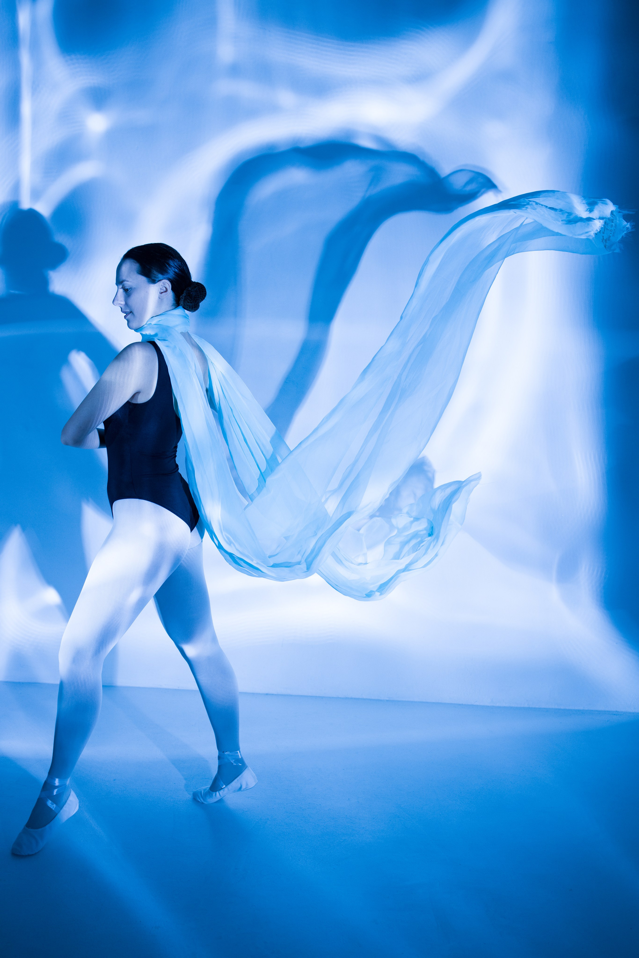 Лилия. Художественная фотография