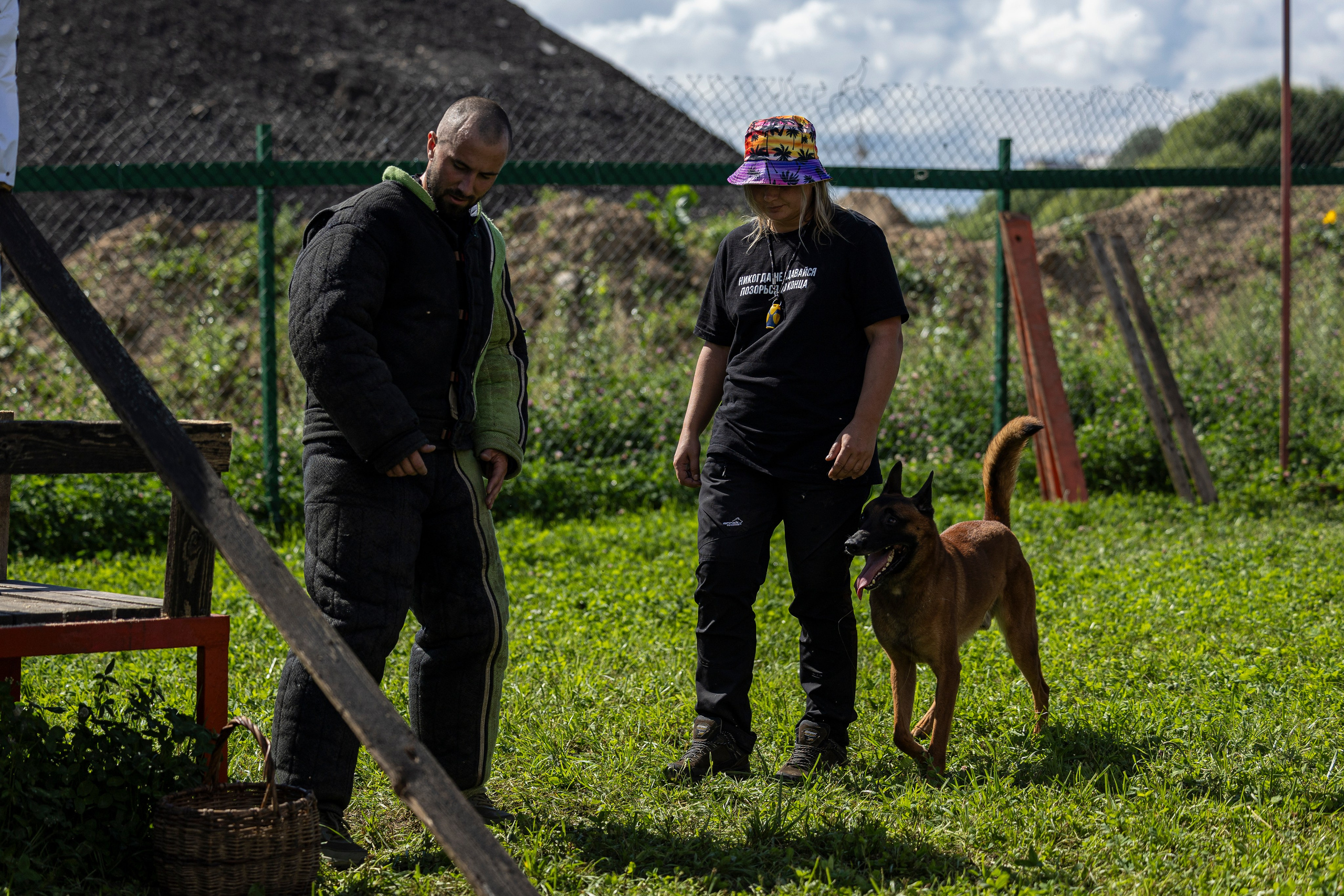 Соревнования по Мондьорингу г. Вологда 10-11.08.2024. Фотограф-анималист Анна Маринич
