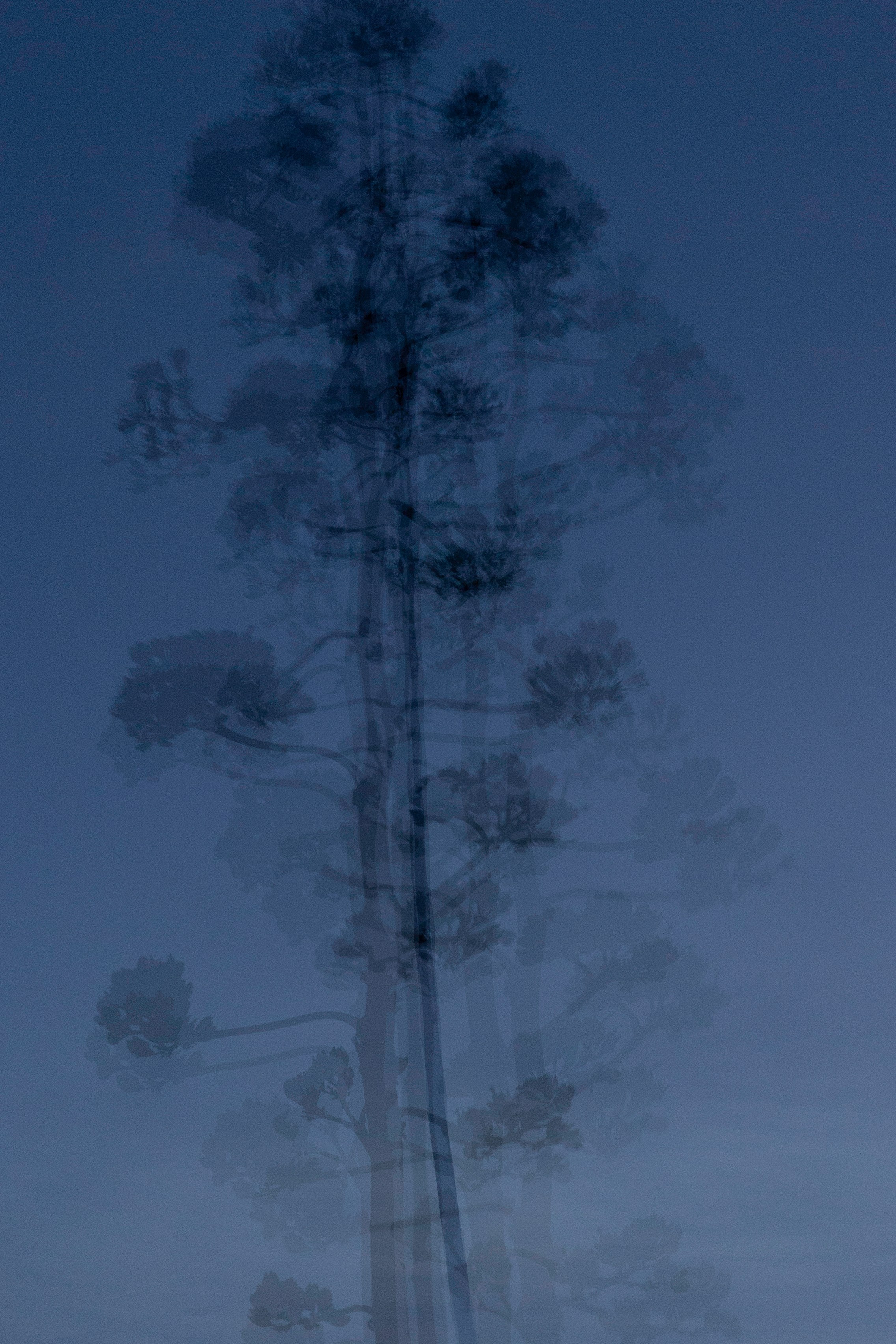 Art prints. Фотограф алина стерхова, алина стерхова фотограф, фотограф москва