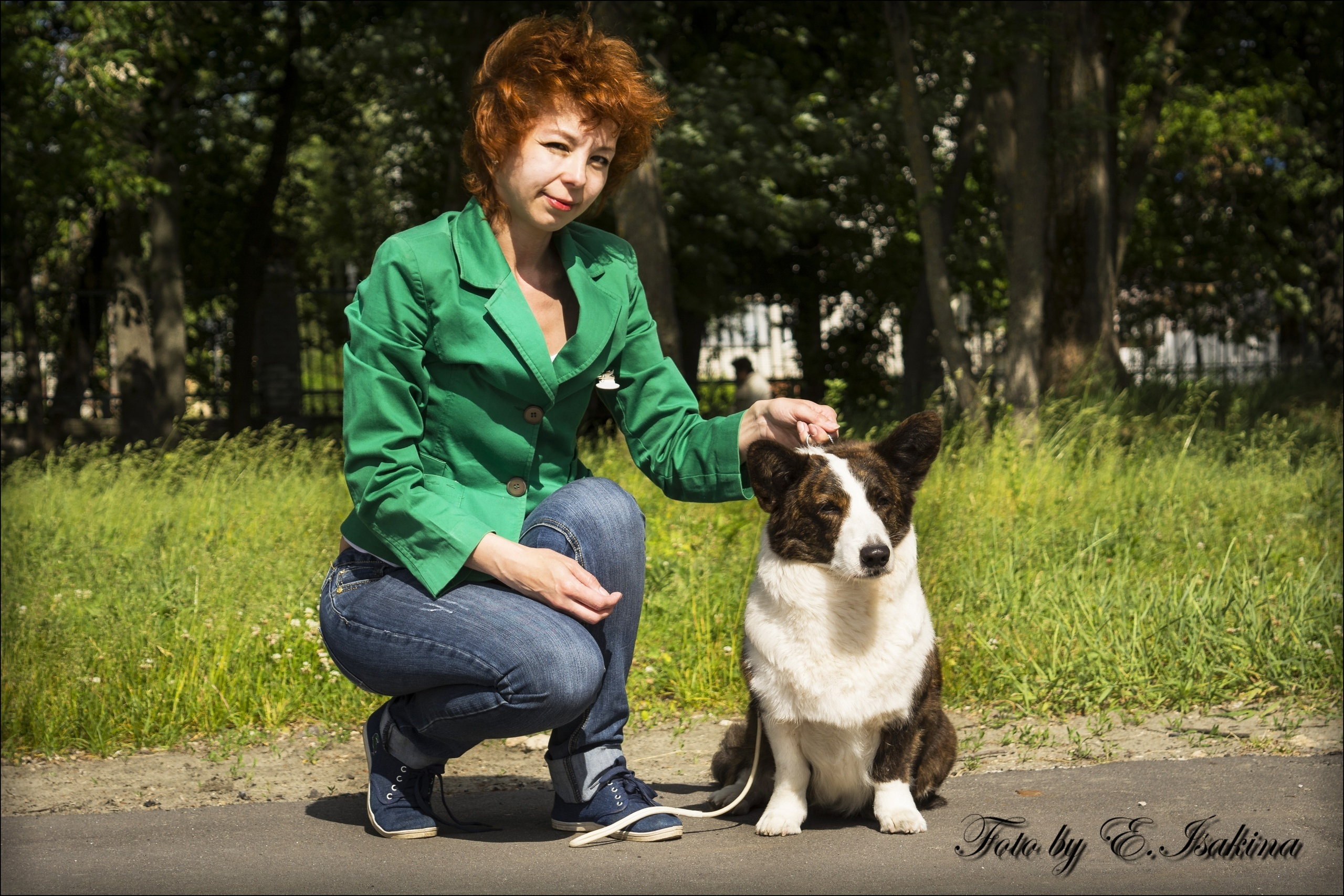 Corgi Na Volge Ariel ЭЛЯ. Ice Fantasy kennel: professional breeding of Siberian huskies and wels