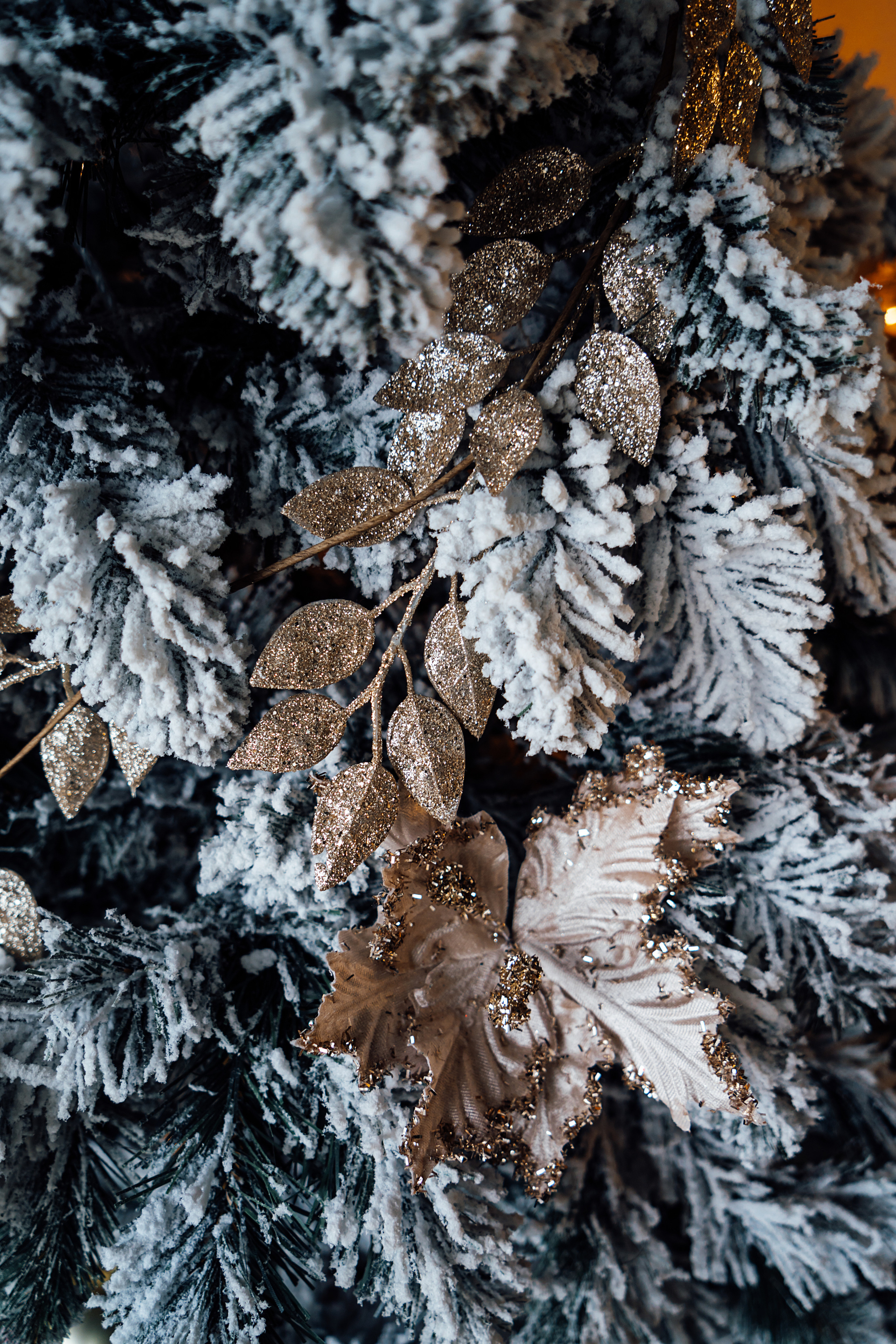 Новогодние заставки. Свадебный и семейный фотограф/видеограф в Краснодаре Наталья Осинская