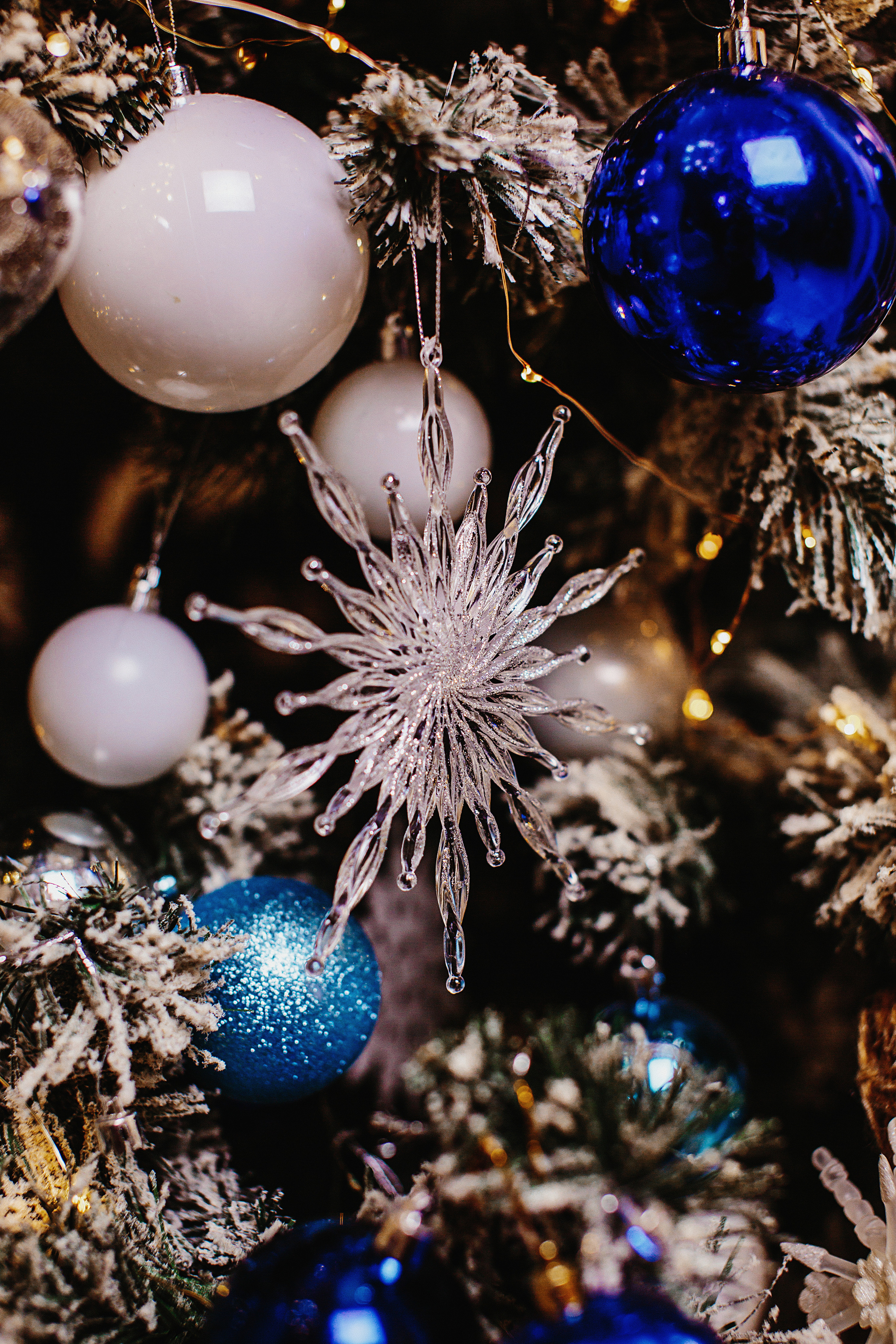 Заставки. Свадебный и семейный фотограф/видеограф в Краснодаре Наталья Осинская
