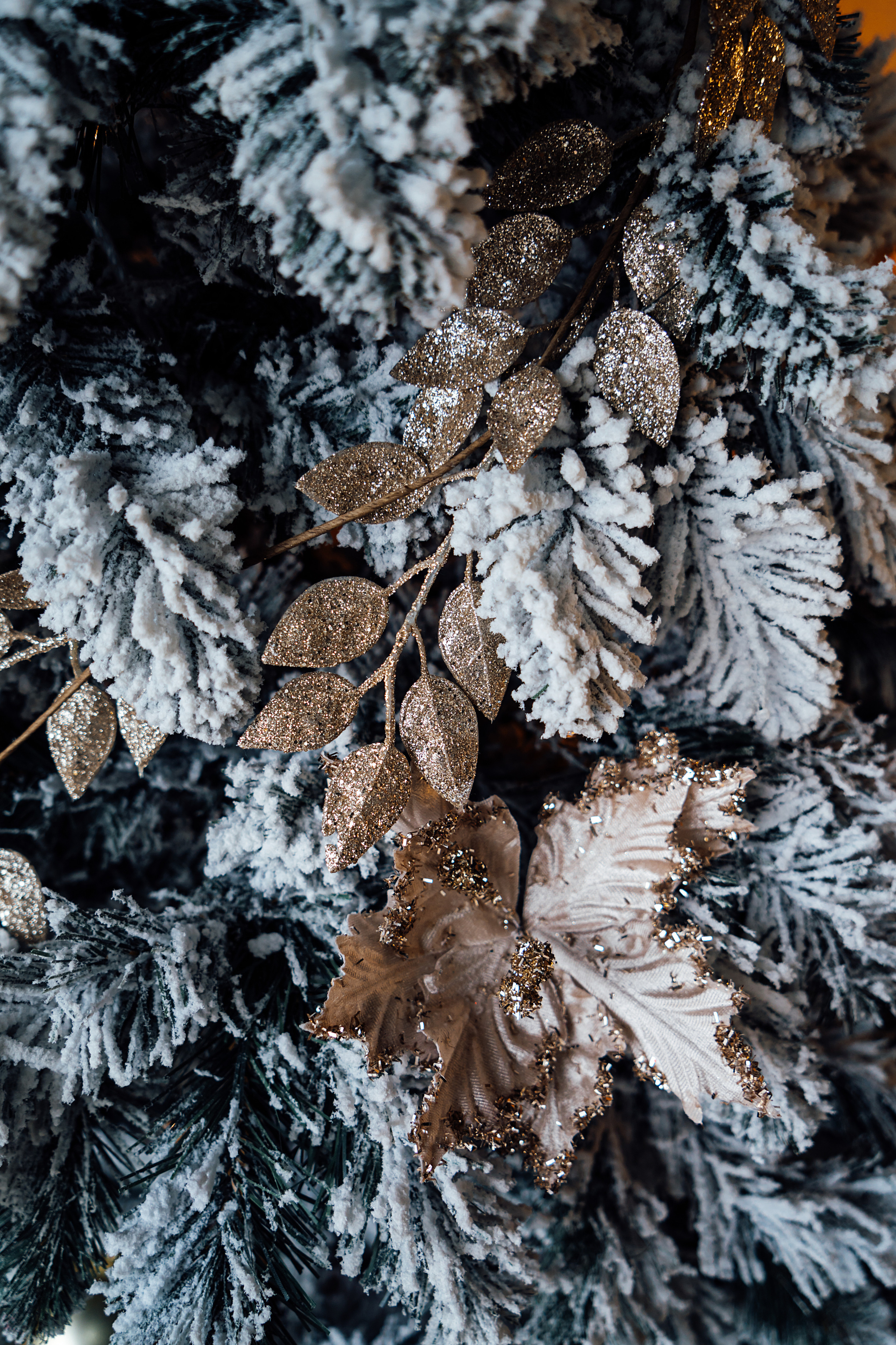 Заставки. Свадебный и семейный фотограф/видеограф в Краснодаре Наталья Осинская