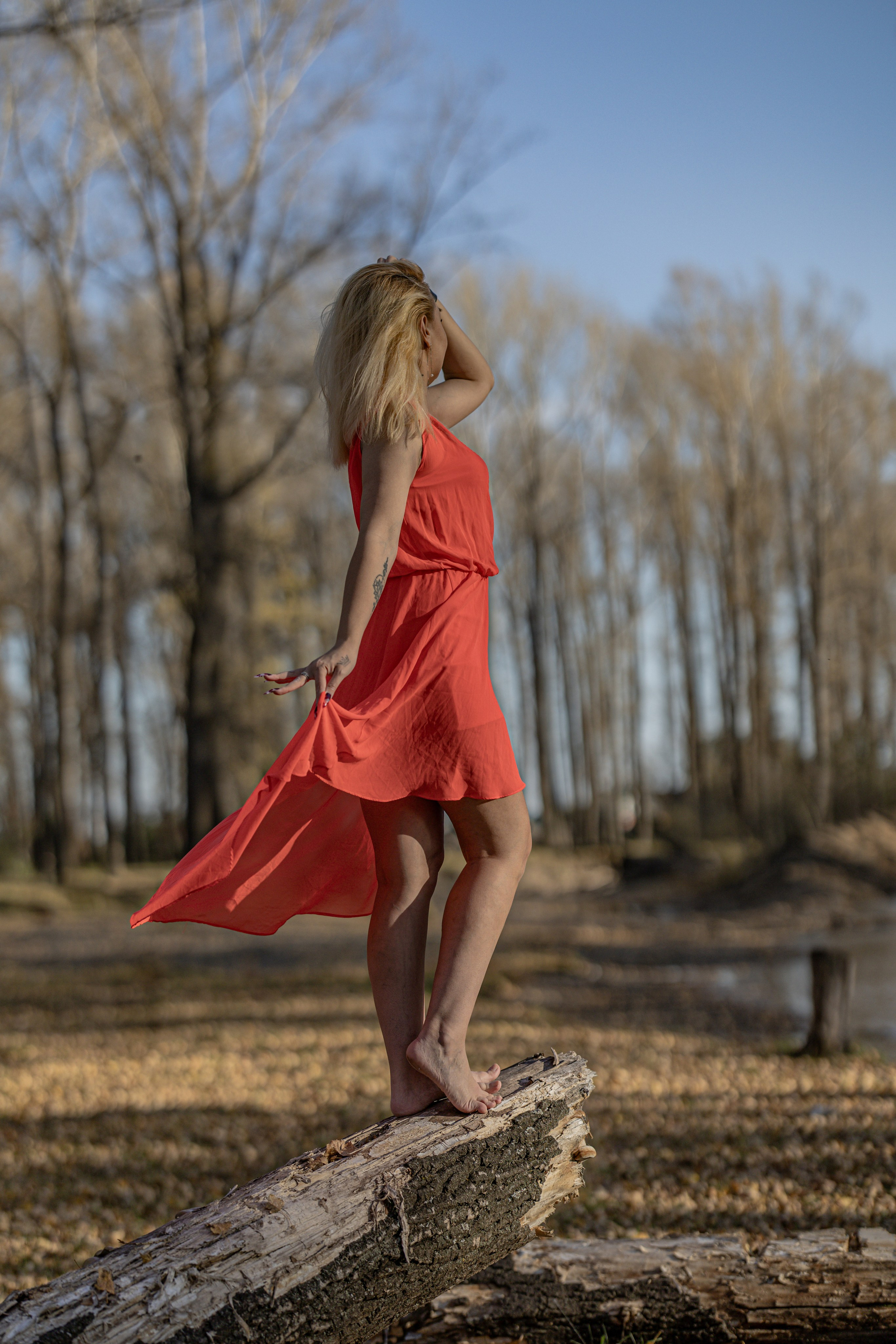 Альбина (2025)