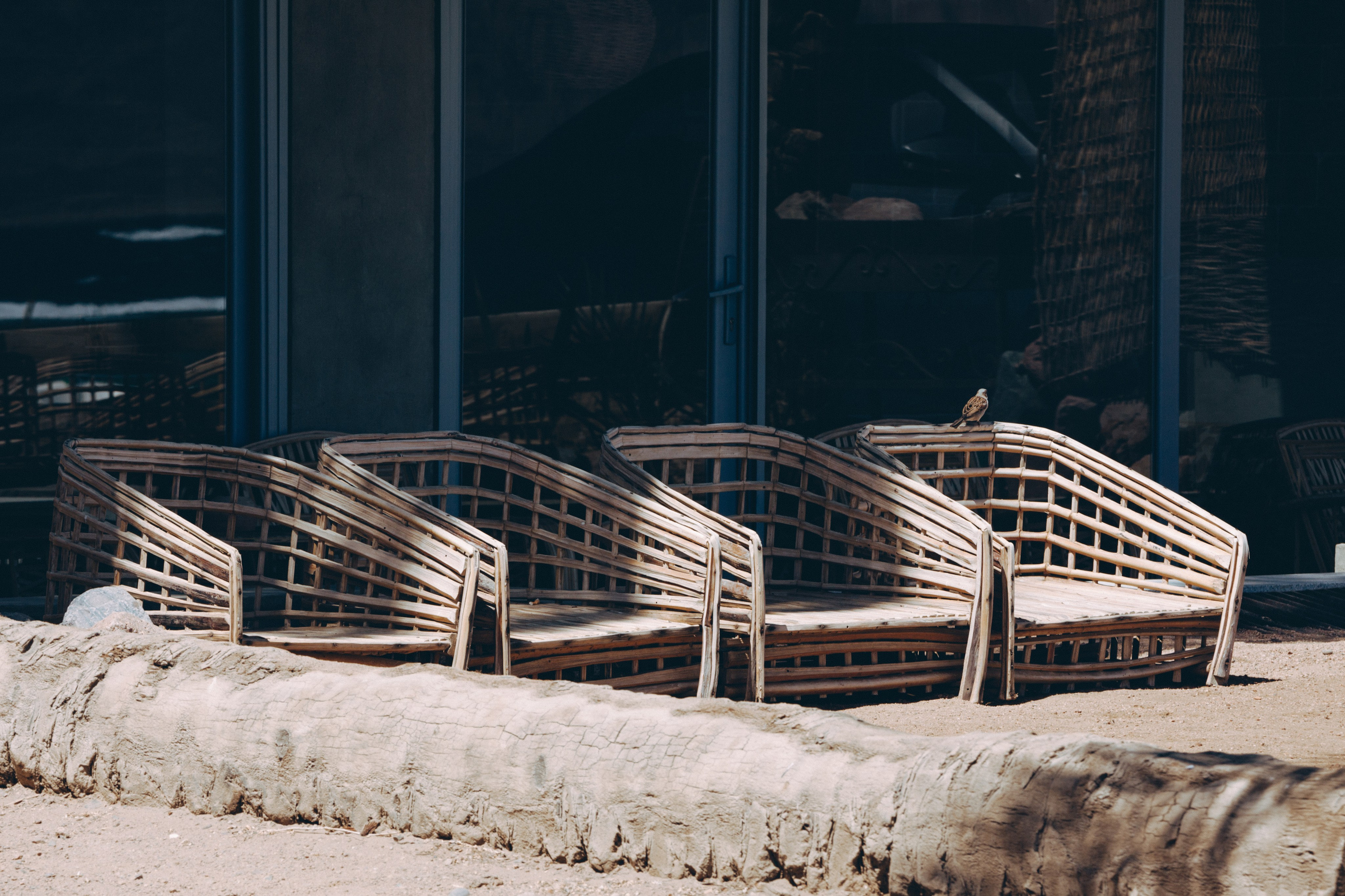 DAHABibi. Дария Галямова — фотограф: открытый, творческий, коммерческий