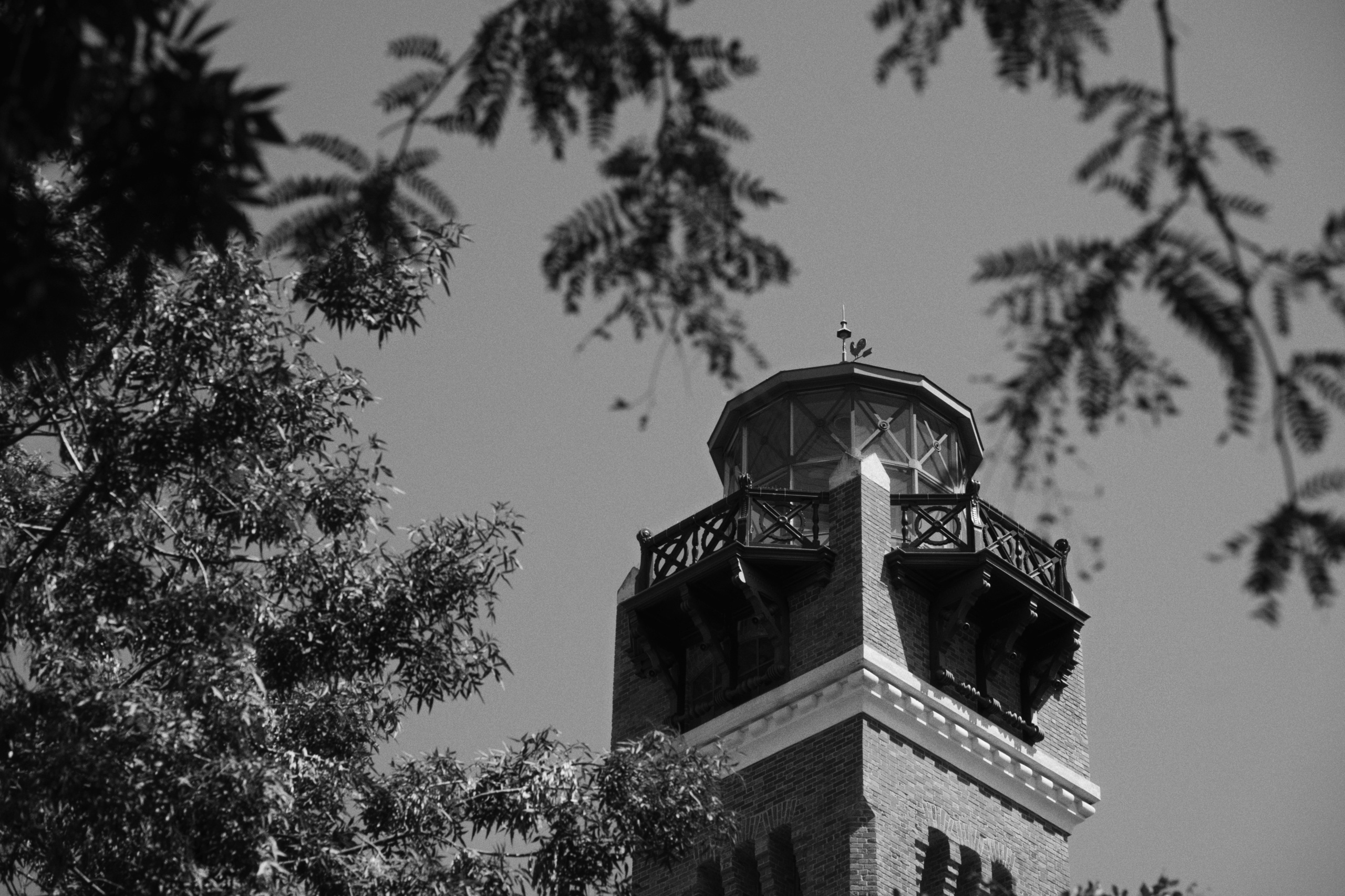 Büyükada х Heybeliada, Istanbul / Türkey SS25. Фотограф Юрин Евгений