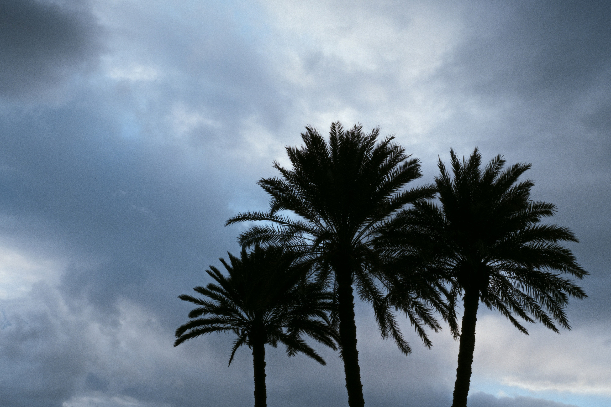 Cairo / Egypt AW25. Фотограф Юрин Евгений