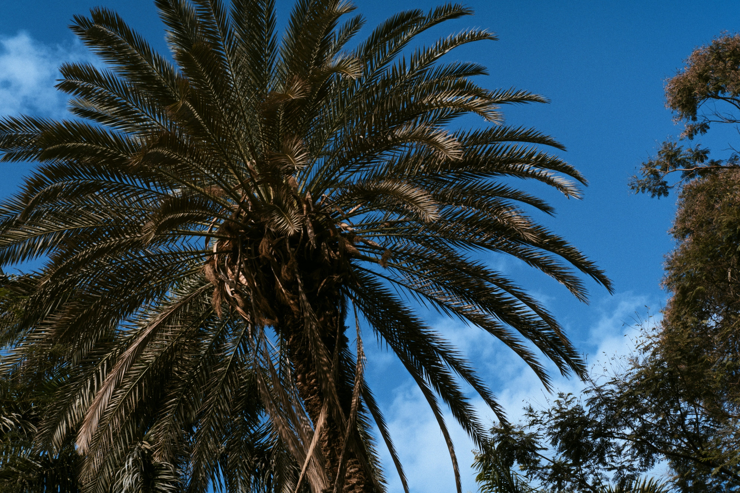 Cairo / Egypt AW25. Фотограф Юрин Евгений