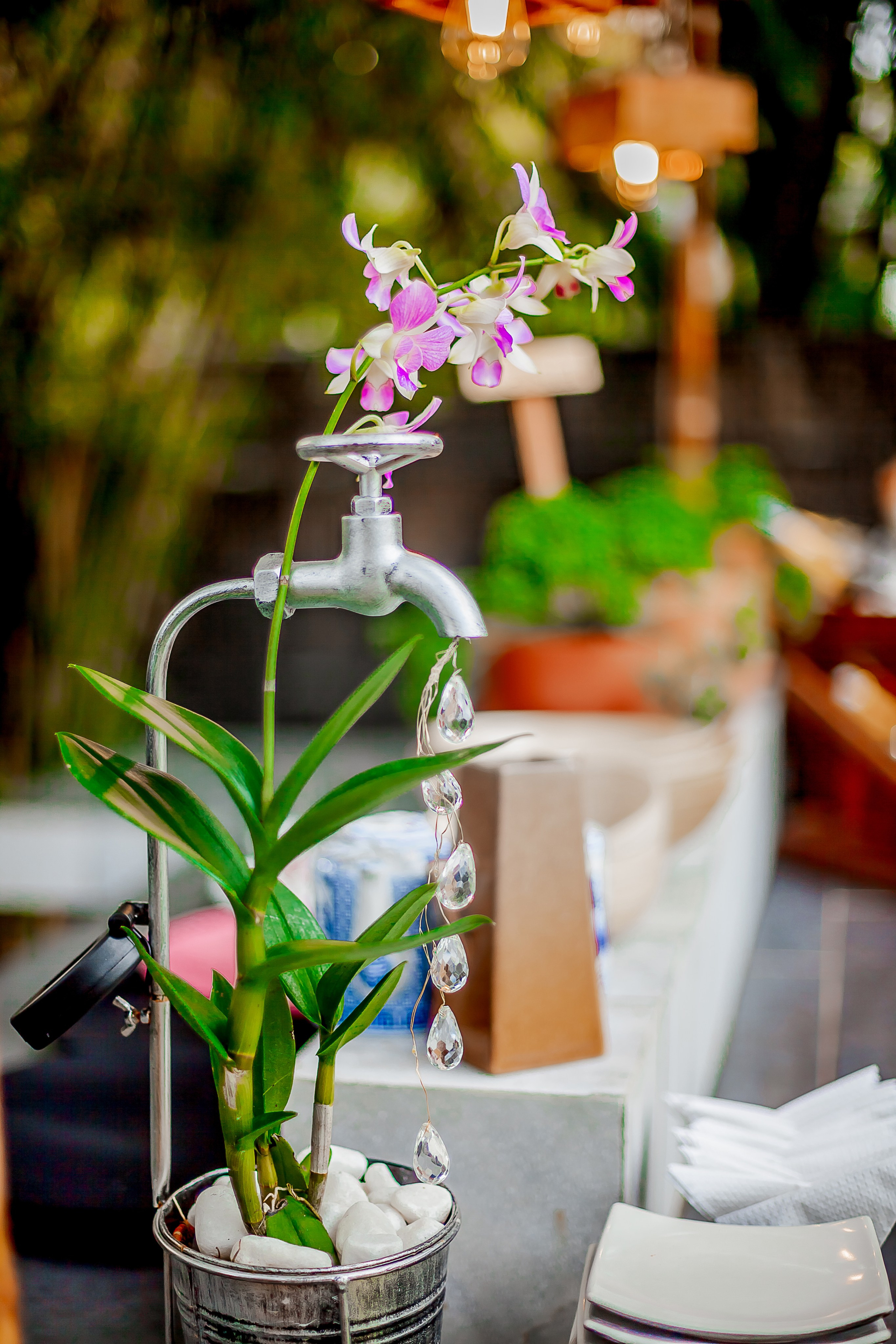 Репортажный фотограф Ялта. Репортажный фотограф Ялта