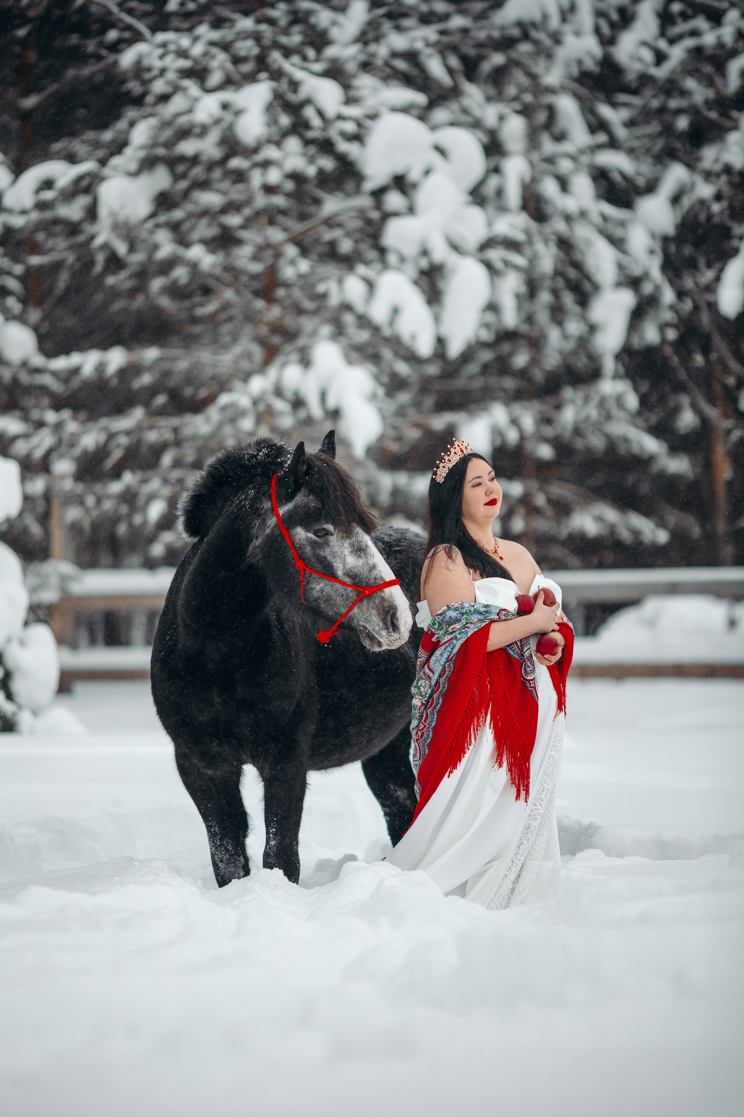 Яблоки на снегу. Анна Молчанова конный фотограф в Тюмени | фотосессии с лошадьми Тюмень