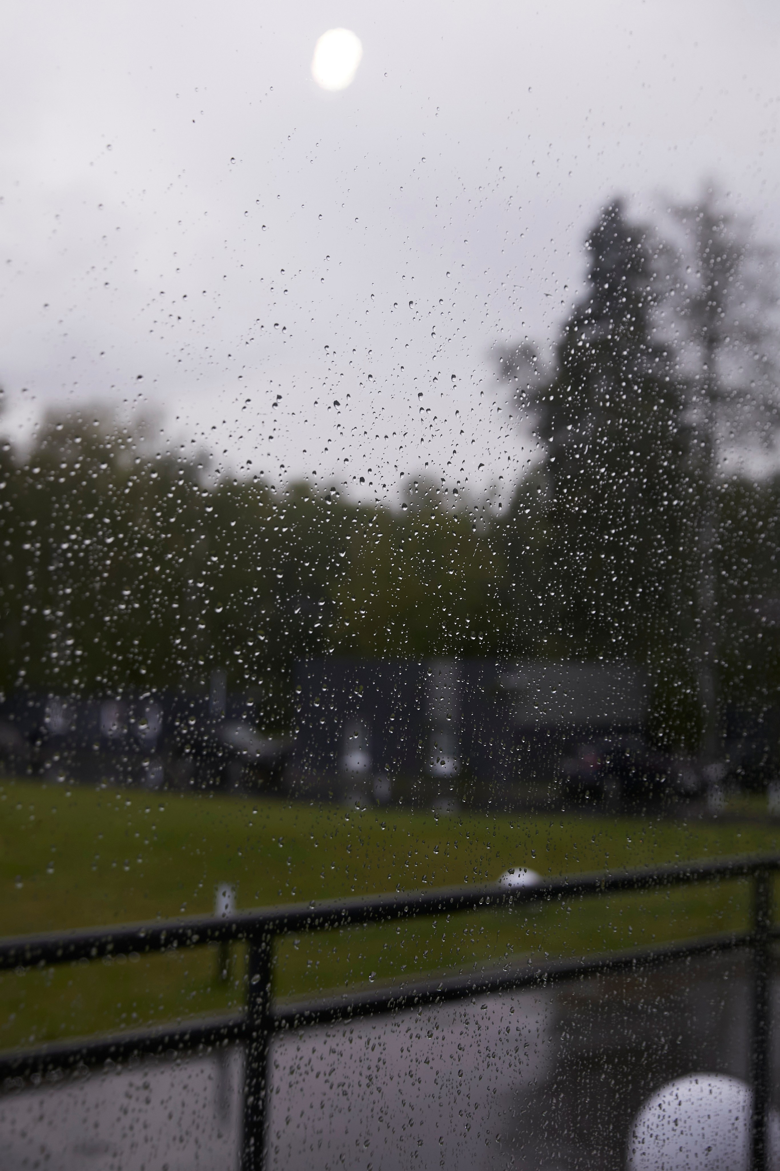 Denis & Elvira | Russia, Moscow region. Свадебный фотограф