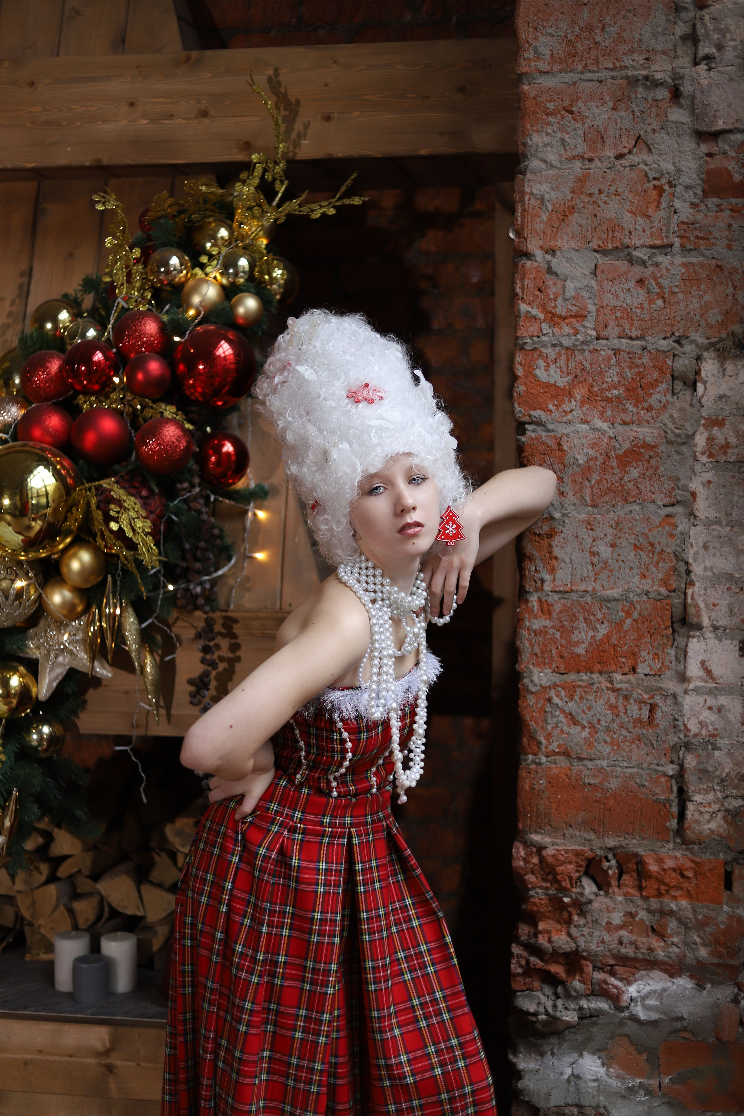 Новогодние. Фото-художник портретист г. Москва