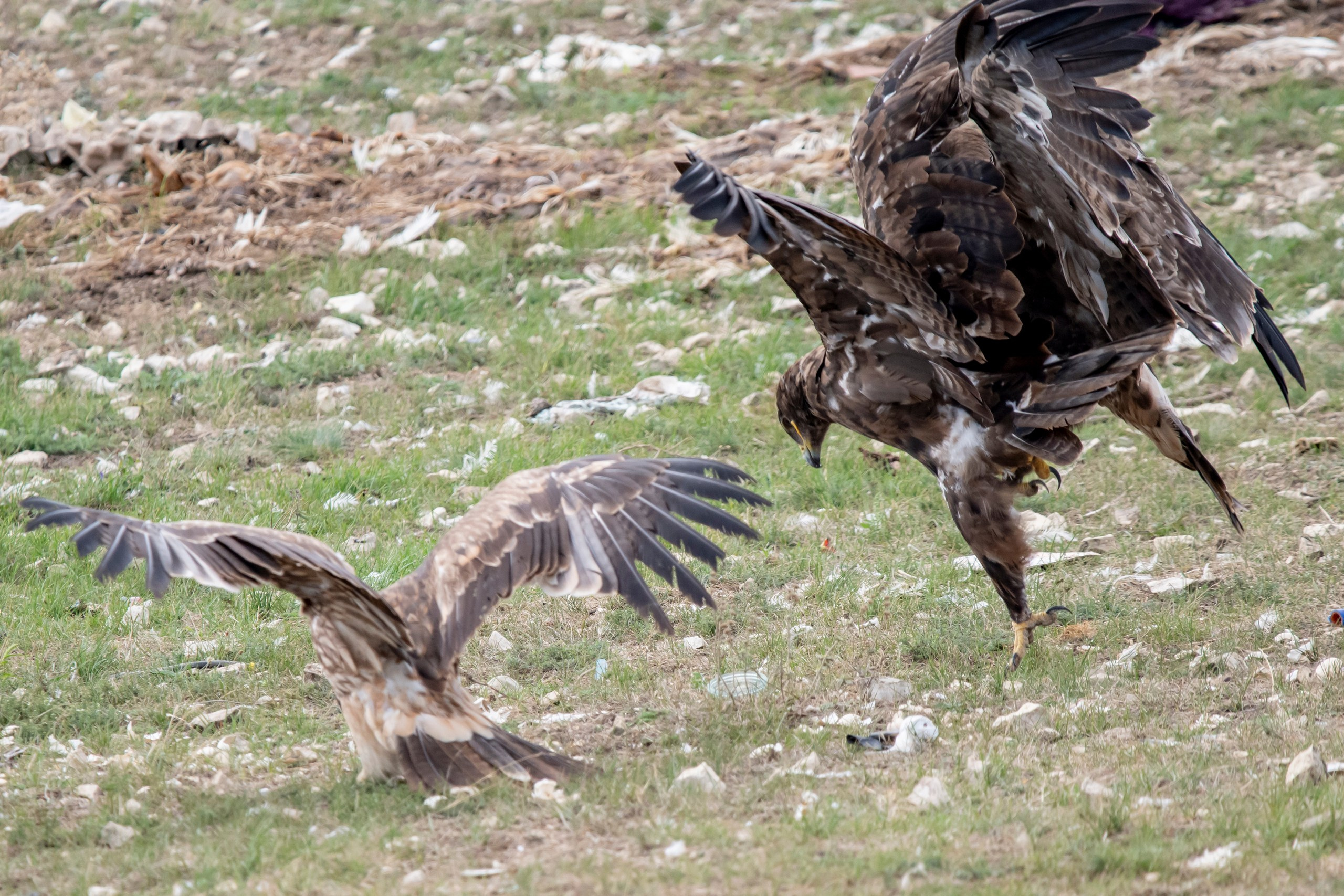 Природа Дагестана, сентябрь 2024. Foto-Zuev фотография как искусство