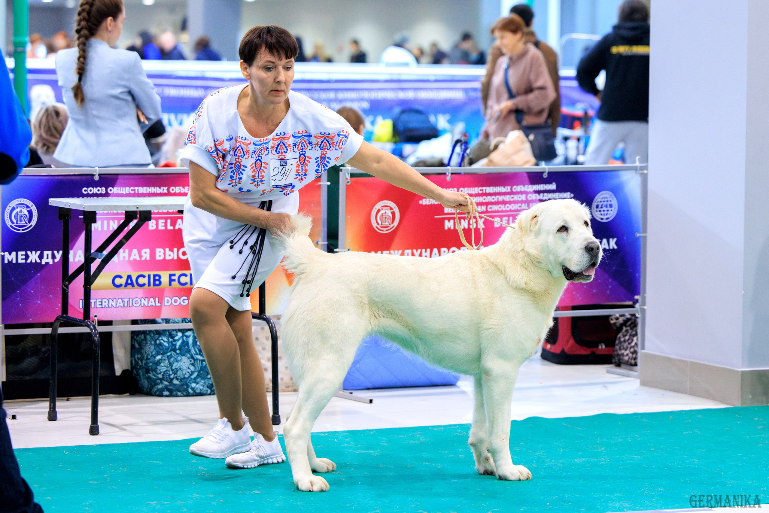 Минск 24-25.02.2024. Фотограф-анималист Юлия Германика
