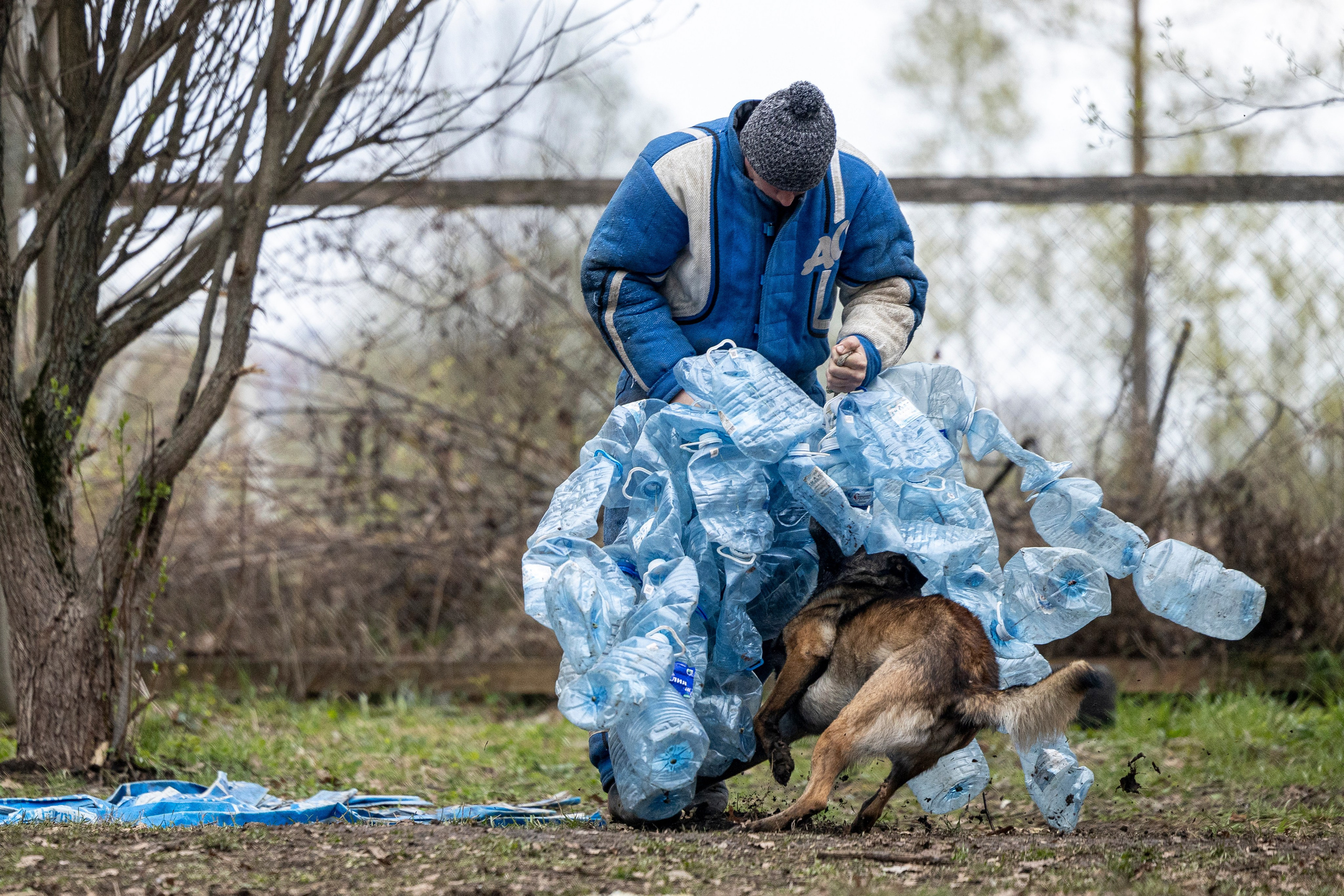 Квалификационные состязания по мондьорингу г. Вологда 11.05.24. Фотограф-анималист Анна Маринич