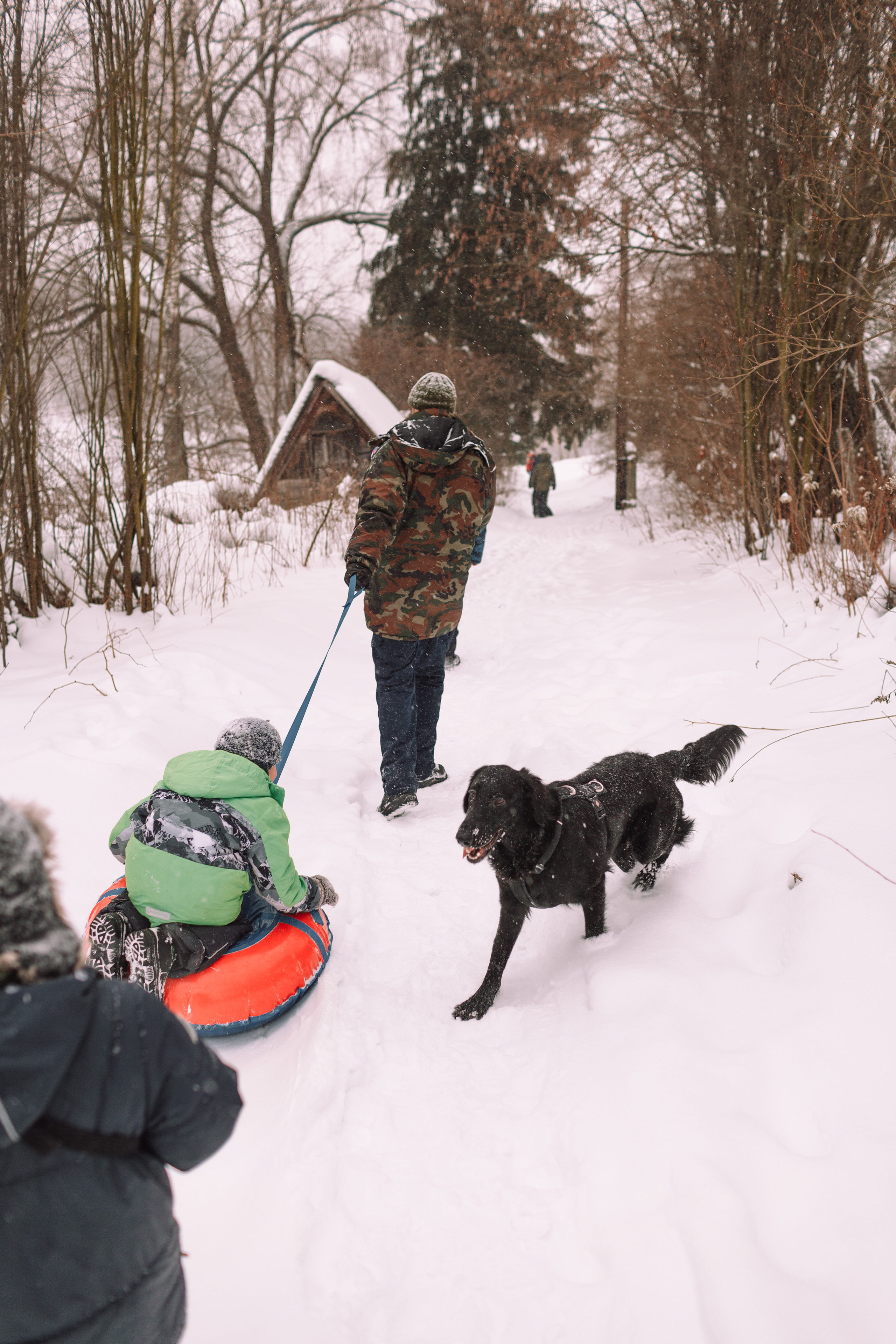 Фоторепортаж: большая семья на прогулке и дома. Детский и семейный фотограф в Москве и московской области Елена Титова