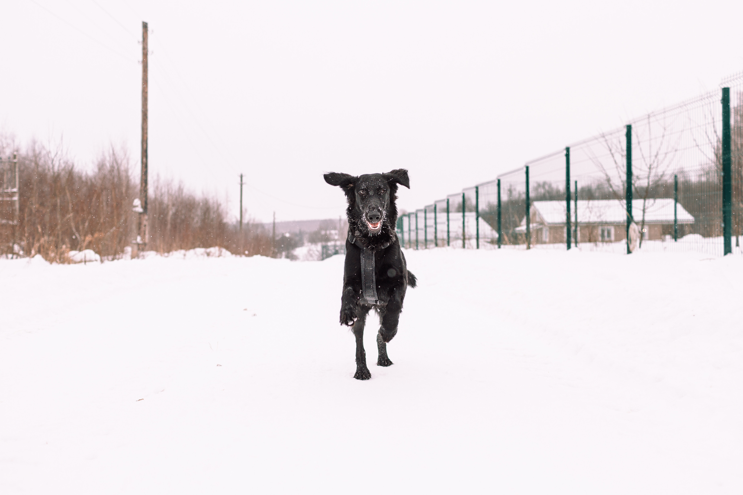 Фоторепортаж: большая семья на прогулке и дома. Детский и семейный фотограф в Москве и московской области Елена Титова