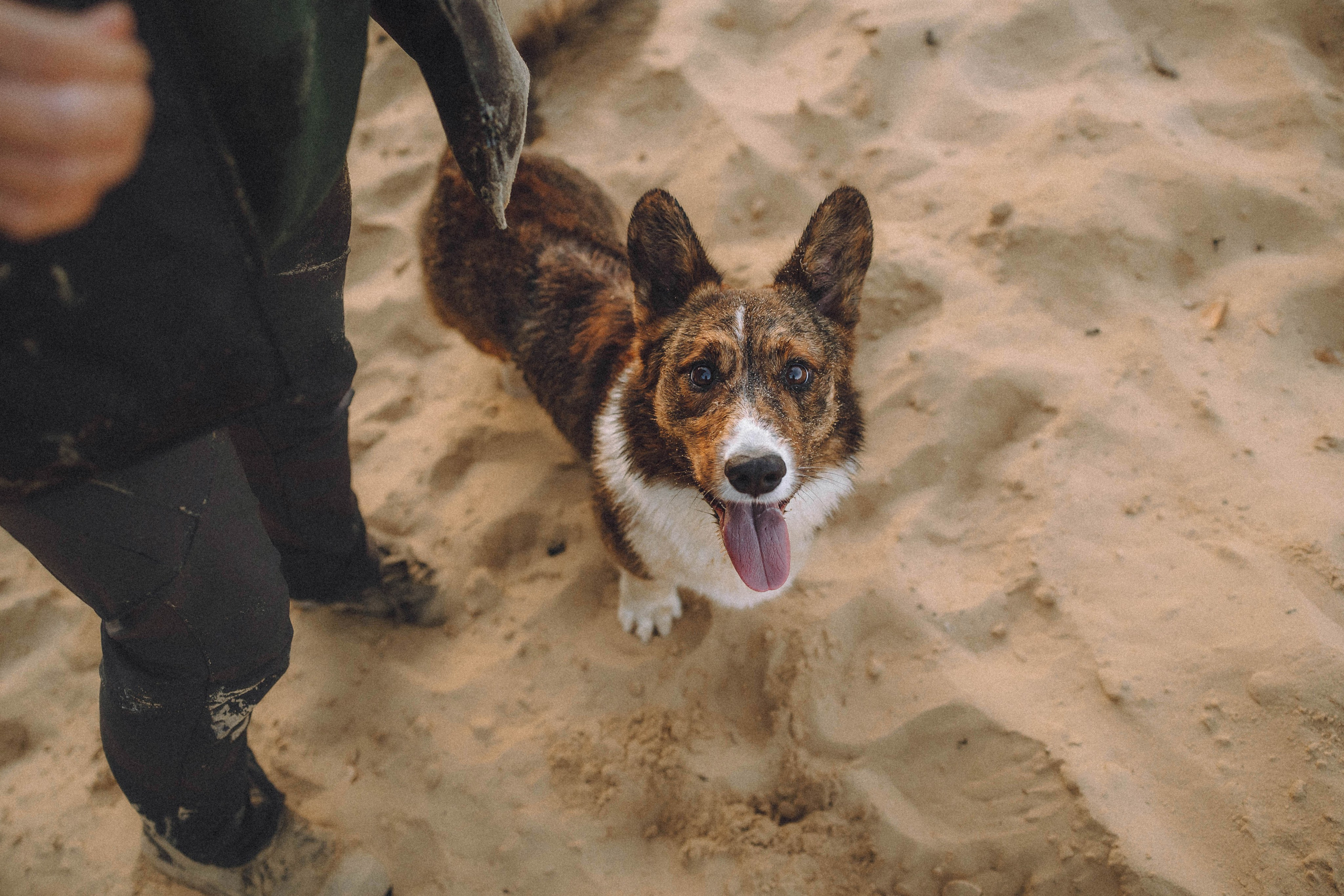 Таня, Ерш и Оллик