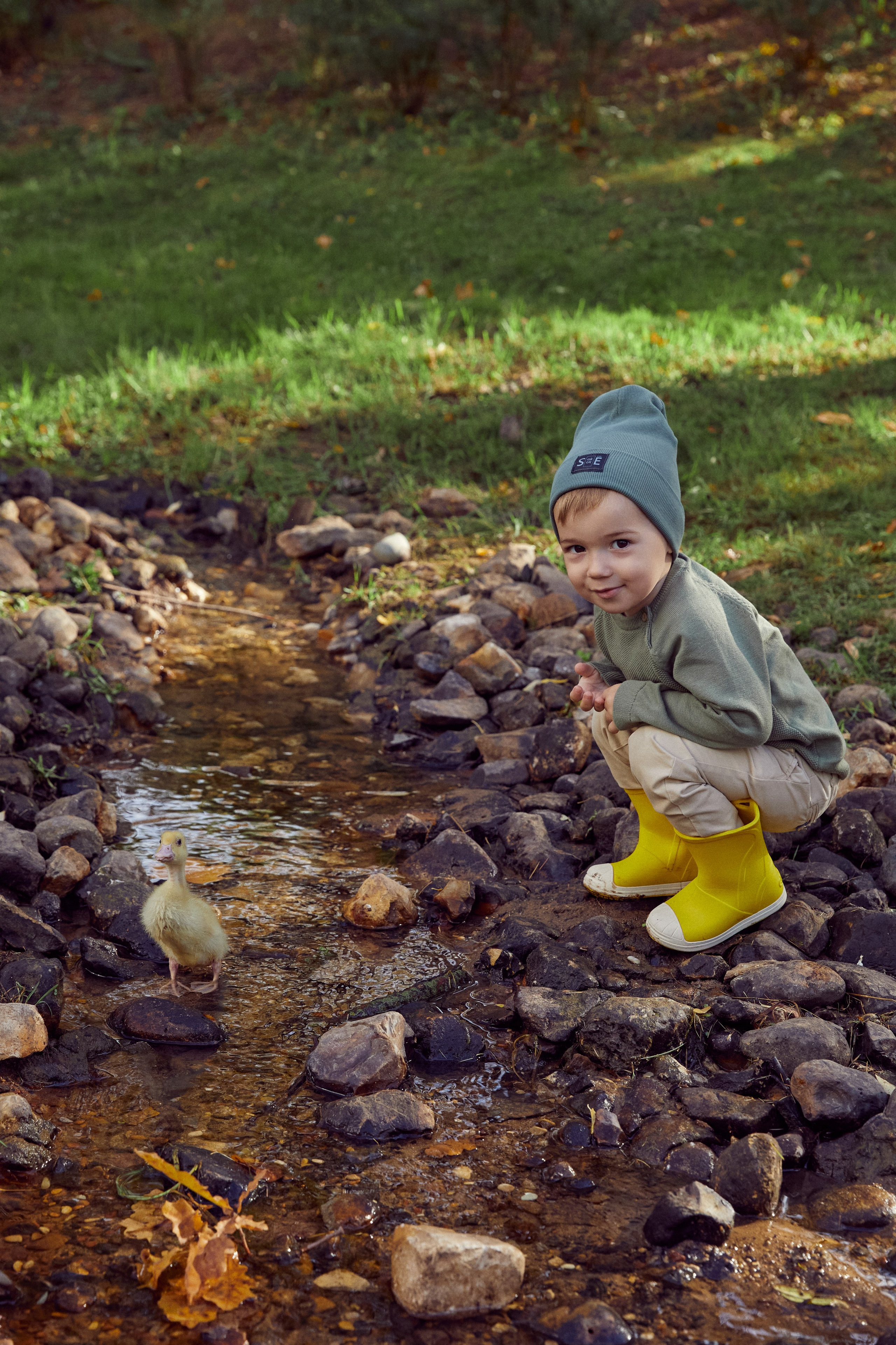 Фотодень с утятами (пруд). Фотограф