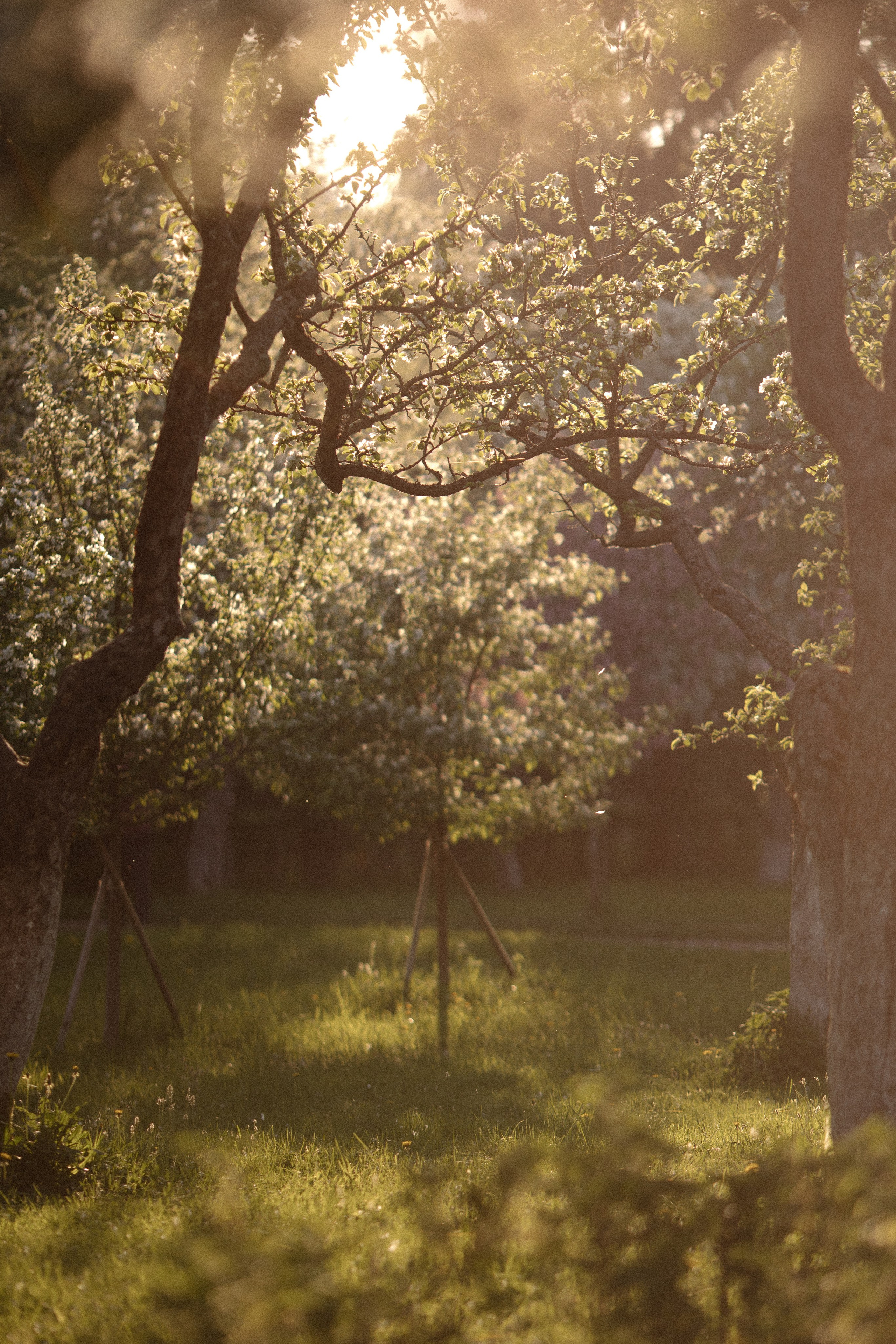 Виктория. Контент фотограф в Санкт-Петербурге Елена Кегель