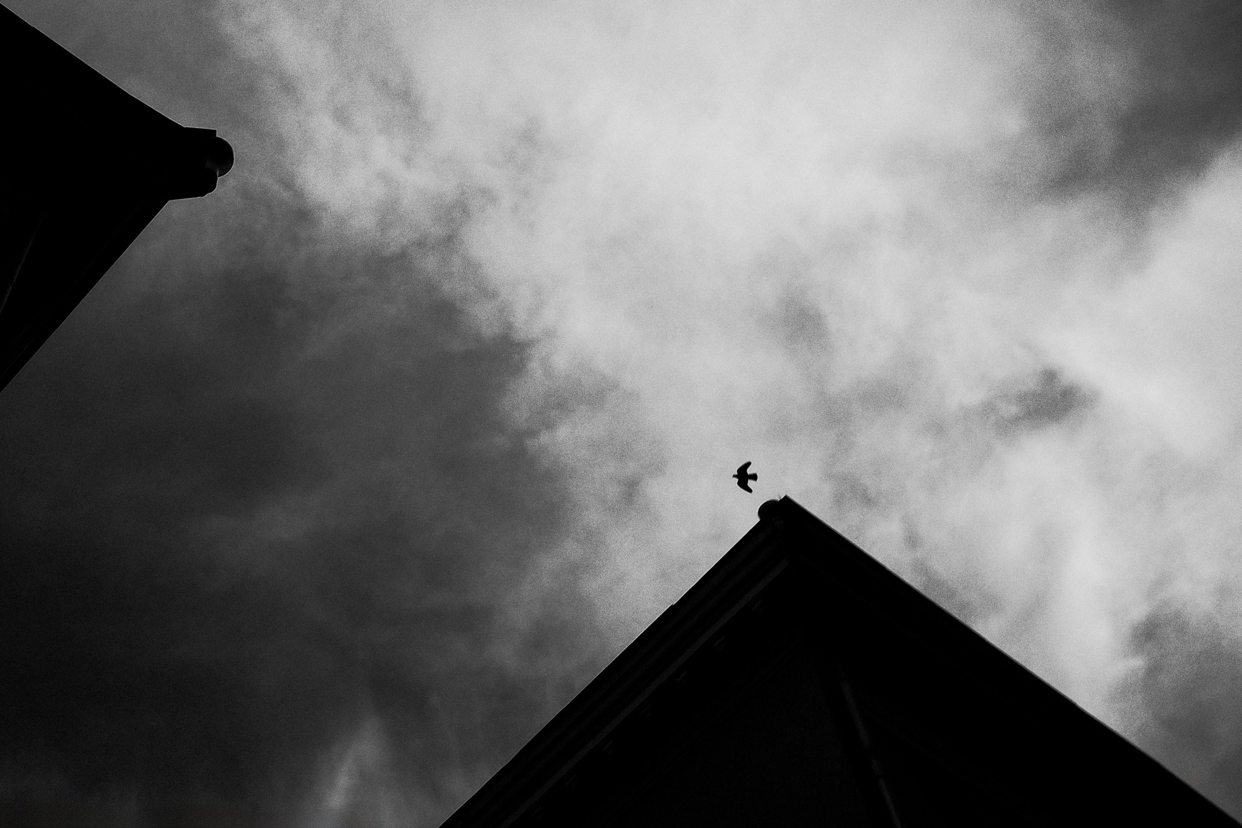 Самые черные фотографии. Артём Линейцев, фотограф