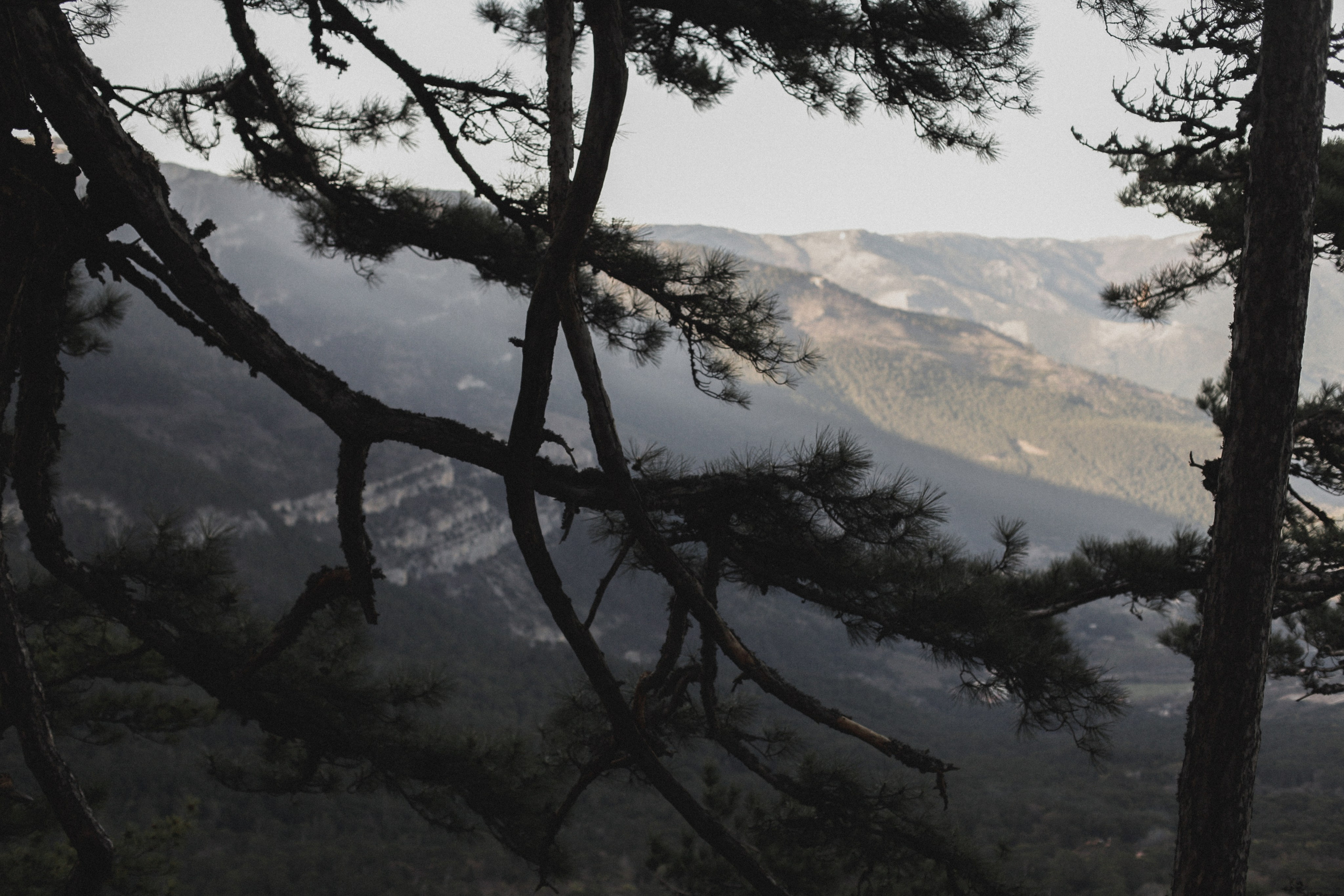 Александр и Влада. Фотограф в Севастополе и Крыму Артем Волобуев