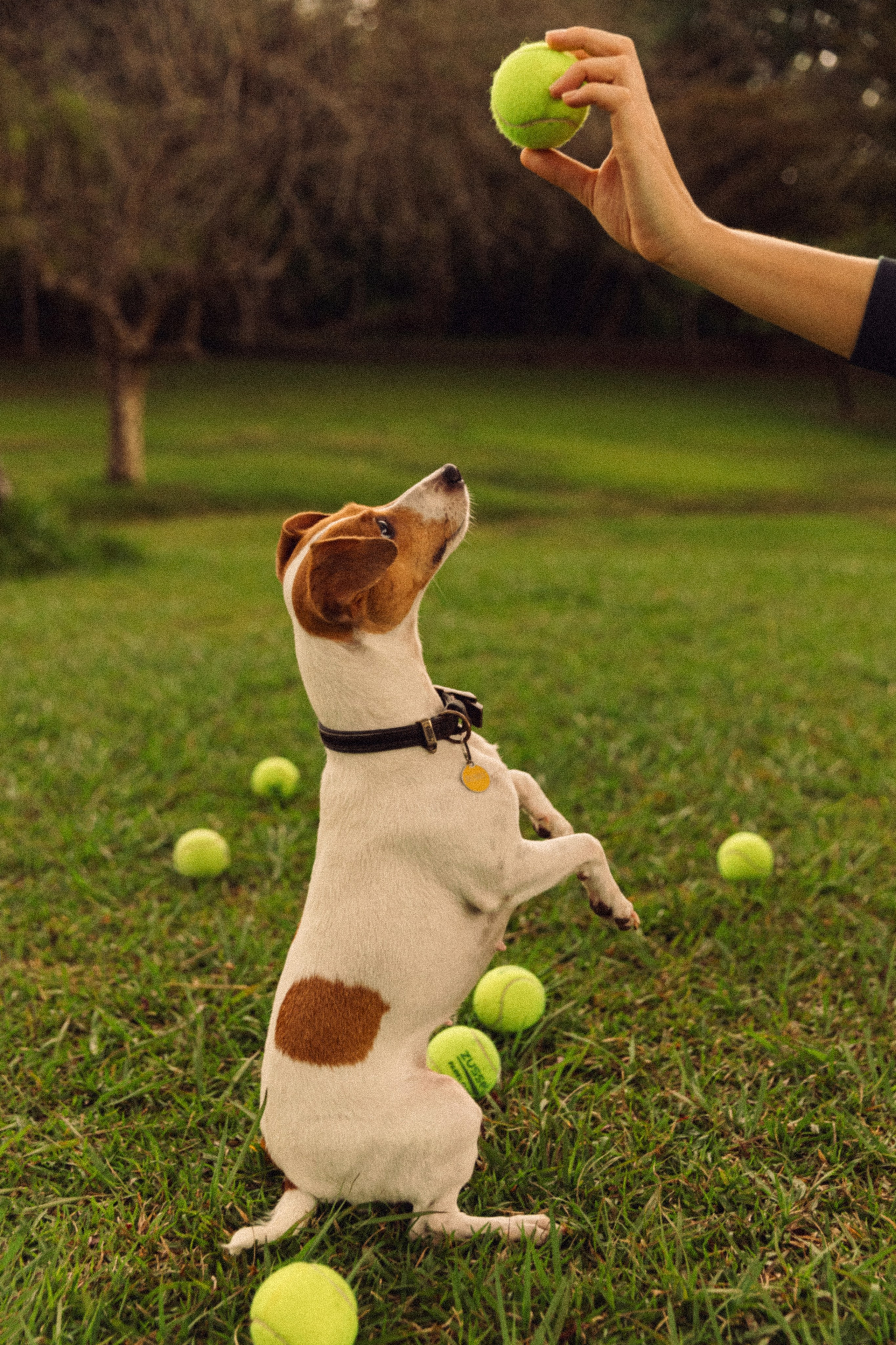Ульяна и Банни. Портретный фотограф / Панама / Анастасия Елизарова