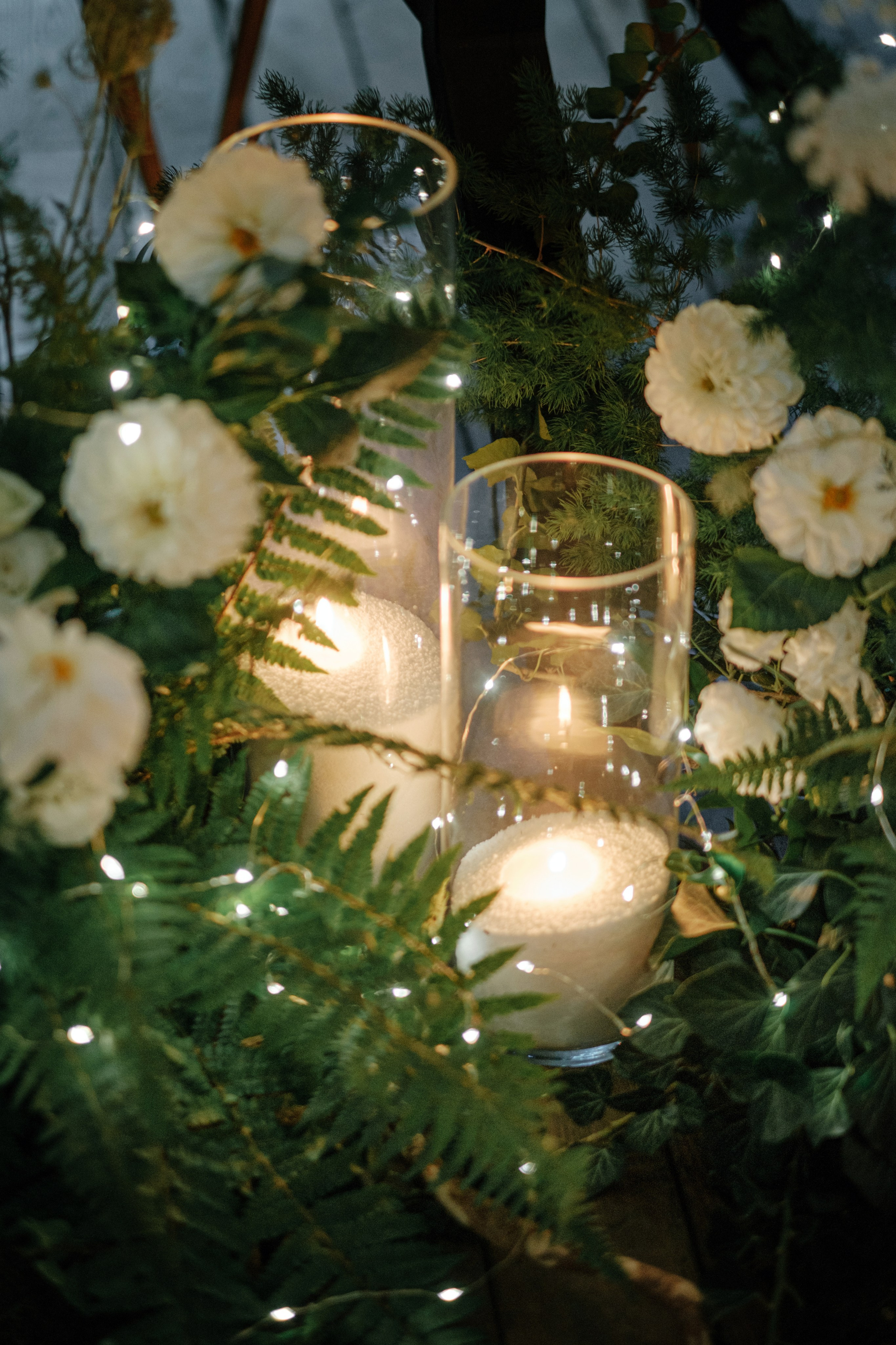 Кот и Дракон. Свадебный Видеограф Фотограф в Сочи