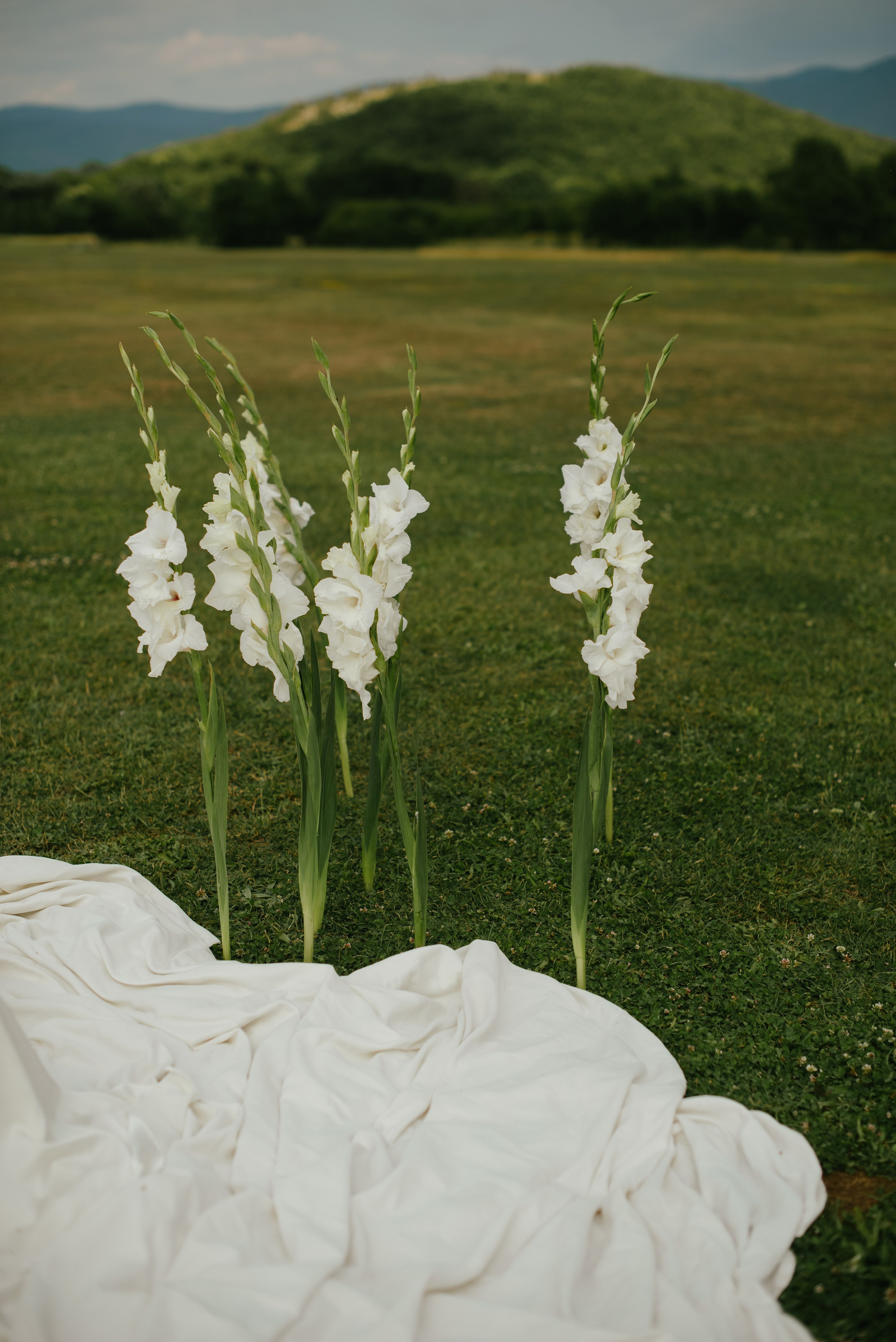 Владислав и Юлия (Вечеринка по случаю венчания). Свадебный, женский, семейный фотограф в Севастополе Юлия Мошенко