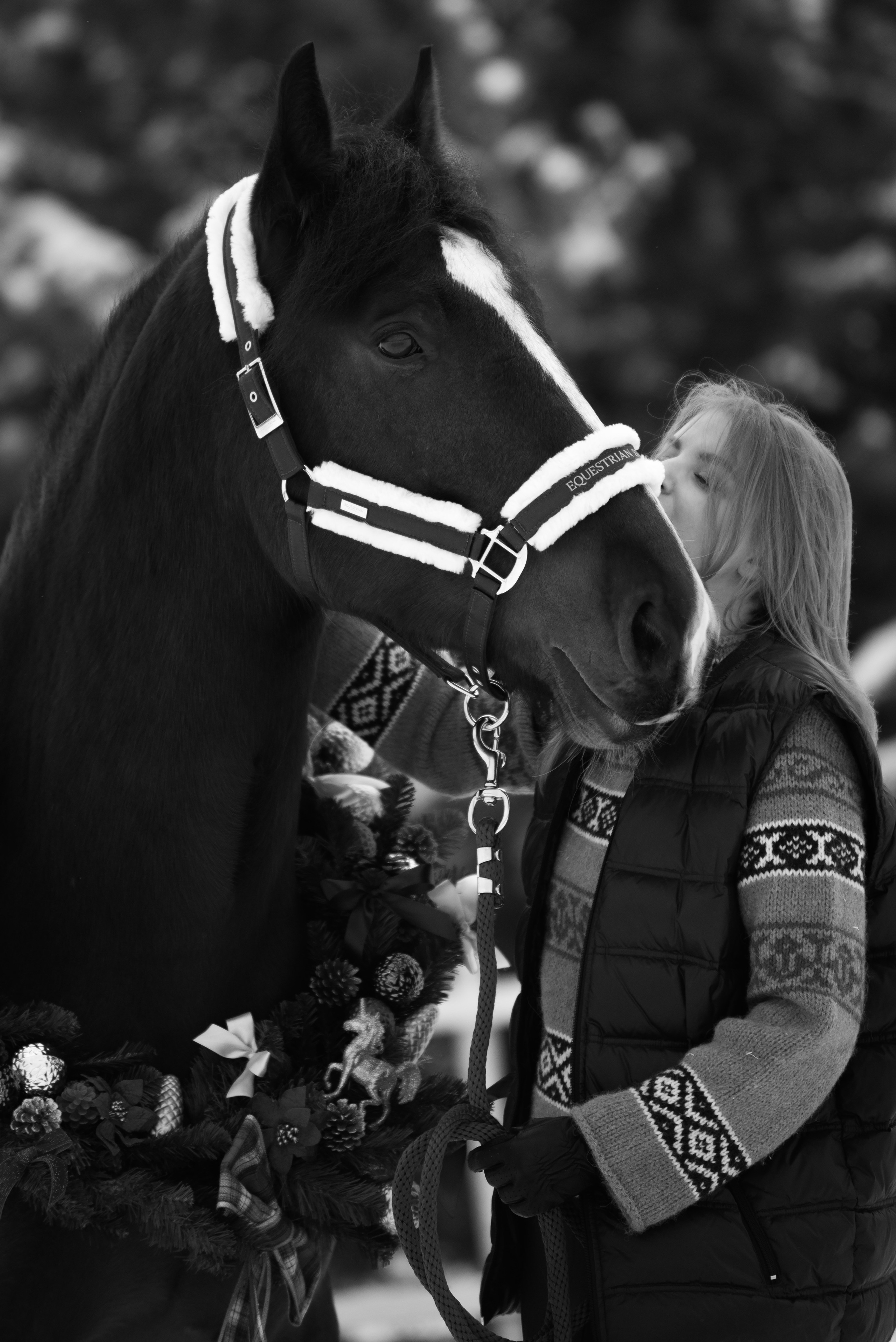 Зимний Настасьин табун. Куракина Дарья • Конный фотограф