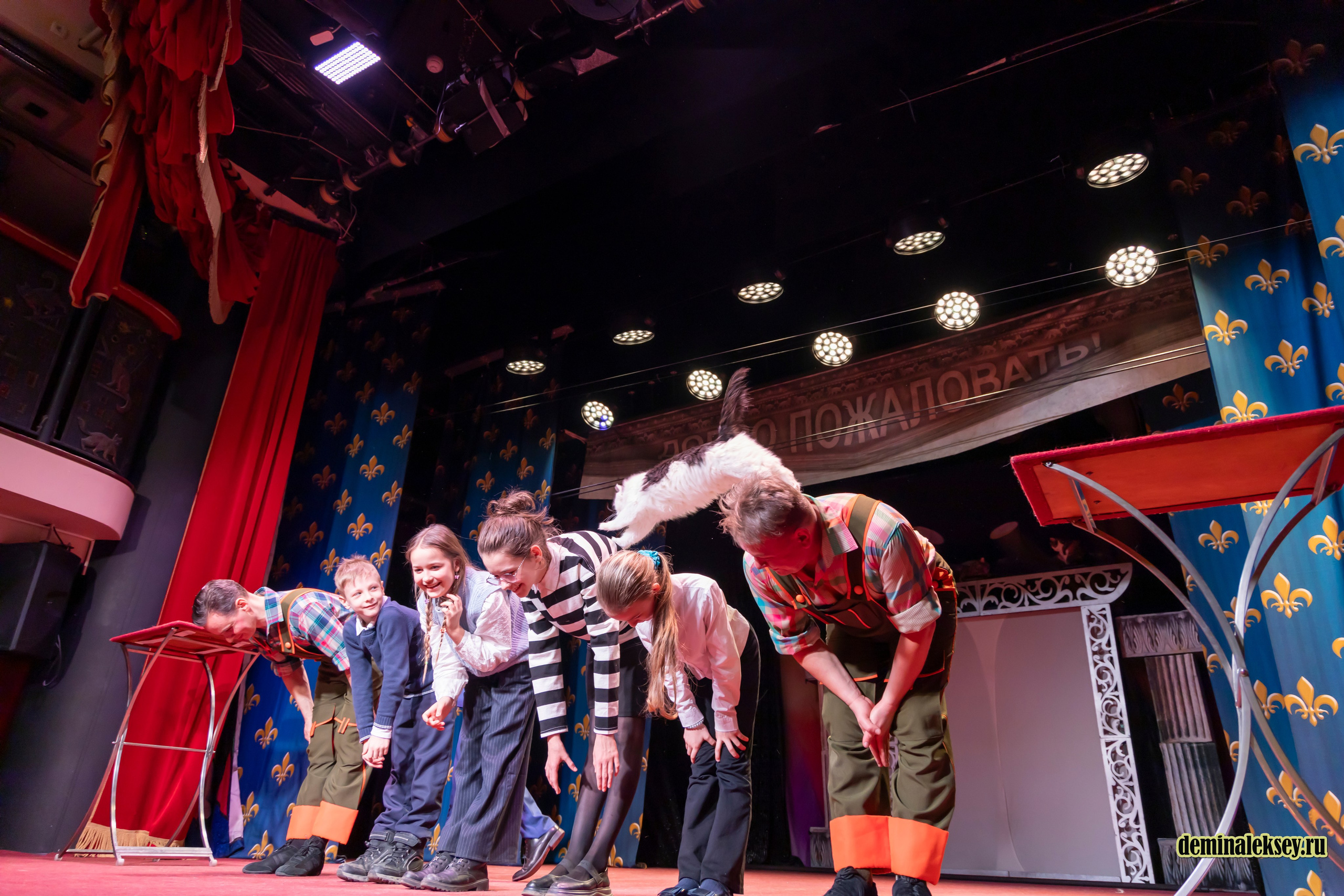 Театр кошек Куклачева 26 февраля 2025. Репортажный, семейный и студийный фотограф в Москве Демин Алексей