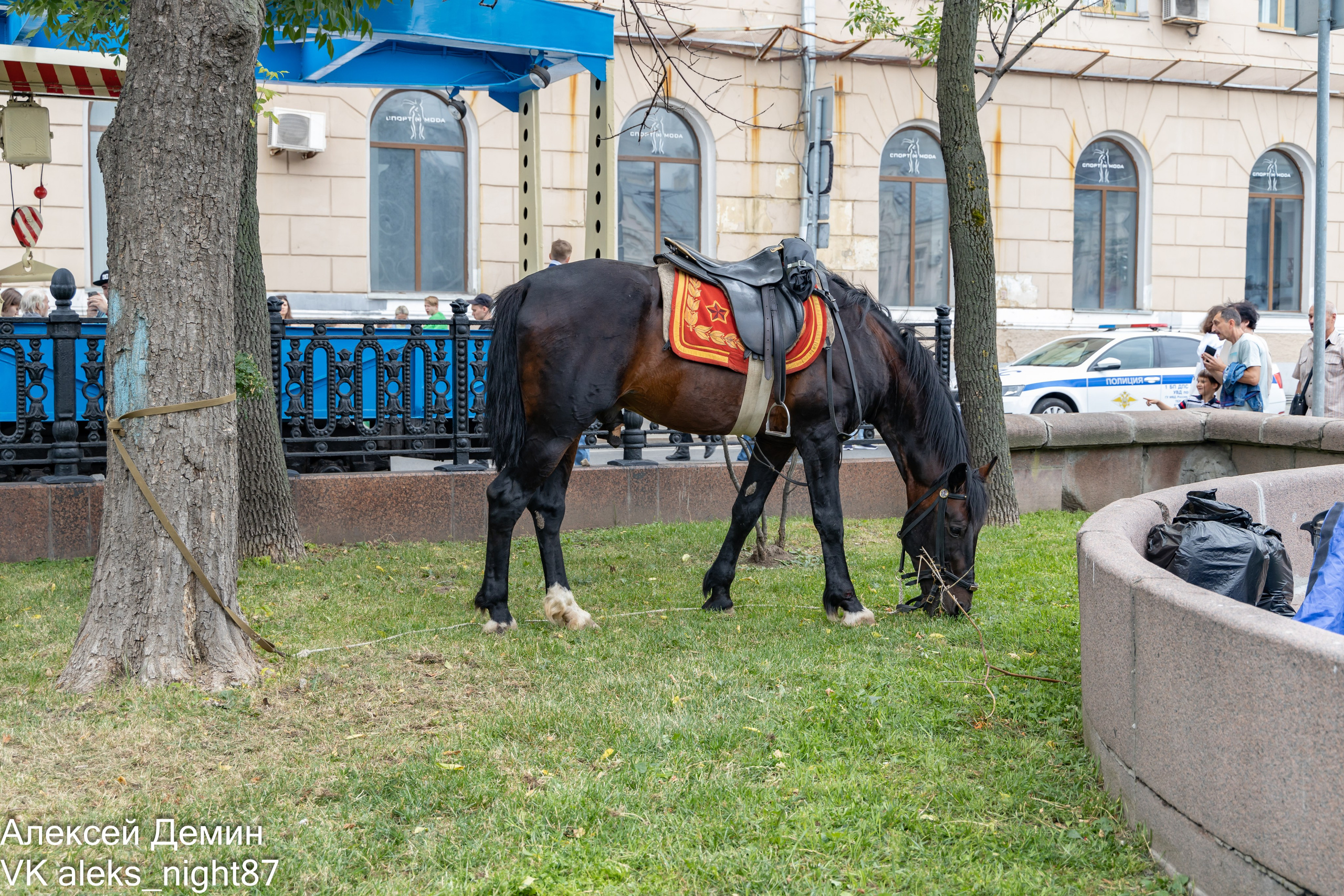 Ретро парад трамваем Москва 2023. Репортажный, семейный и студийный фотограф в Москве Демин Алексей