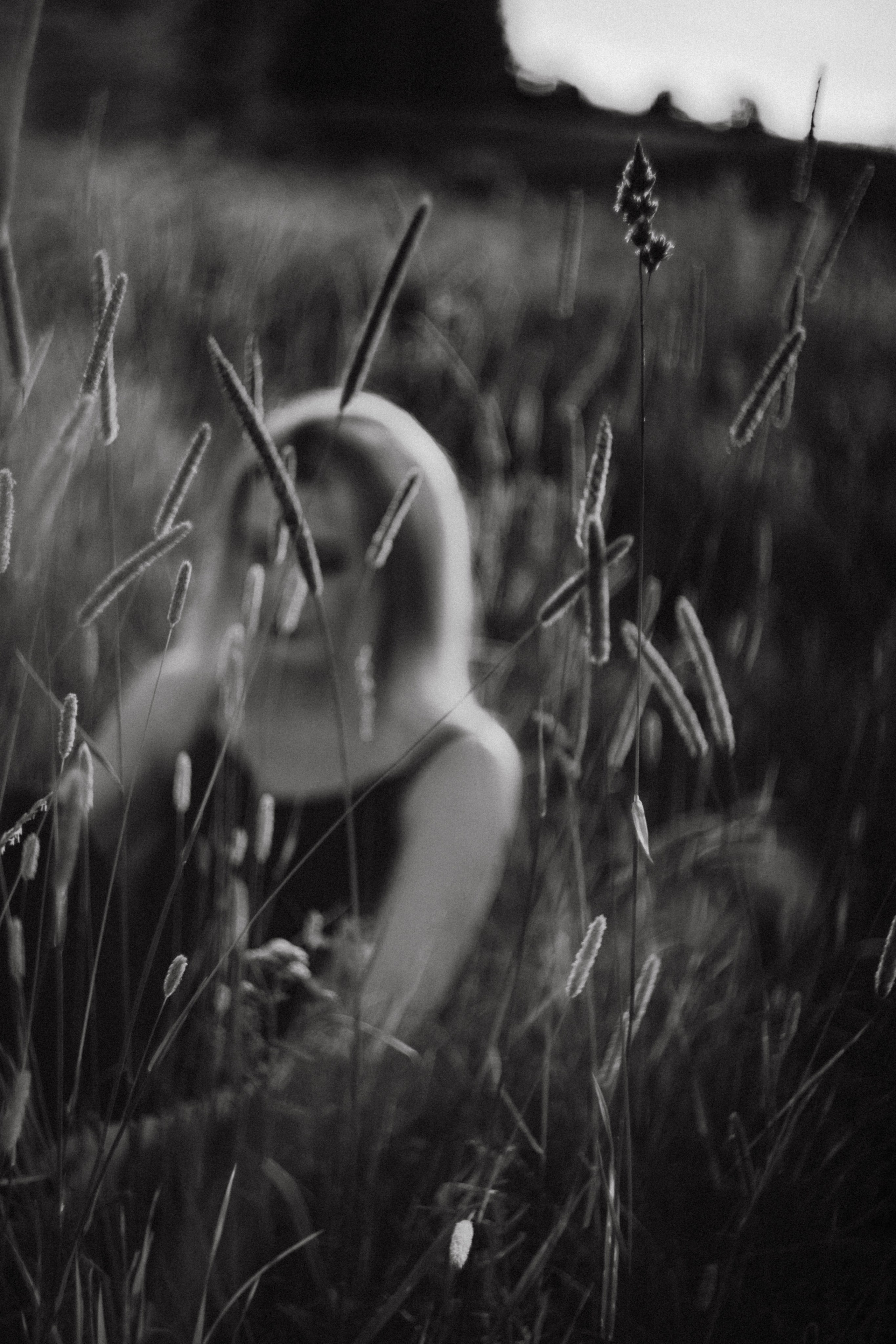 Ирина. Закат. Поле. Фотограф в Нижнем Новгороде