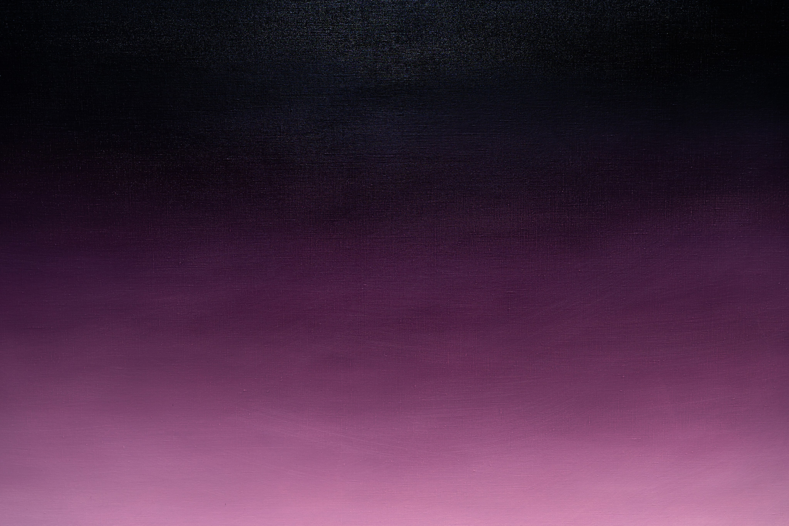 Открытие выставки. Твой фотограф Алина Кочергина