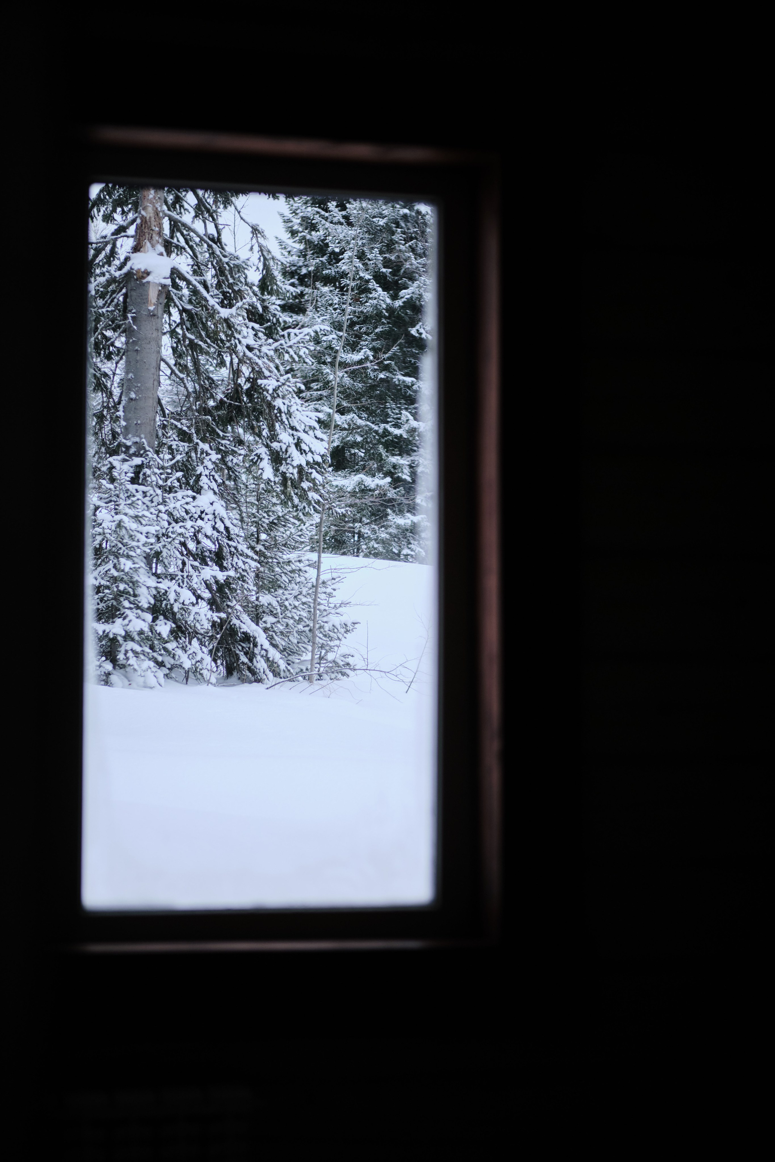 Цветочная ½. Свадебный и семейный фотограф в Новокузнецке Иван Иванов