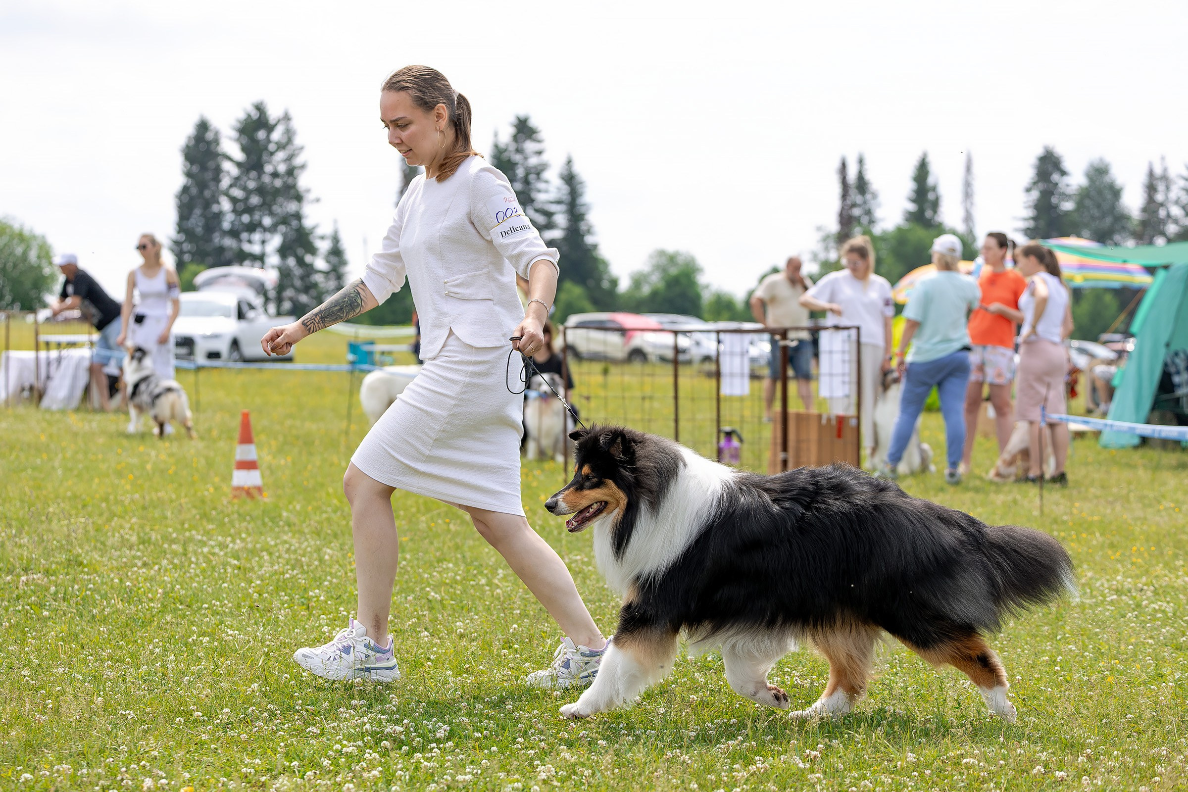 12 июня 2025, Выставка РКФ, Пермский край. Htykk_photo