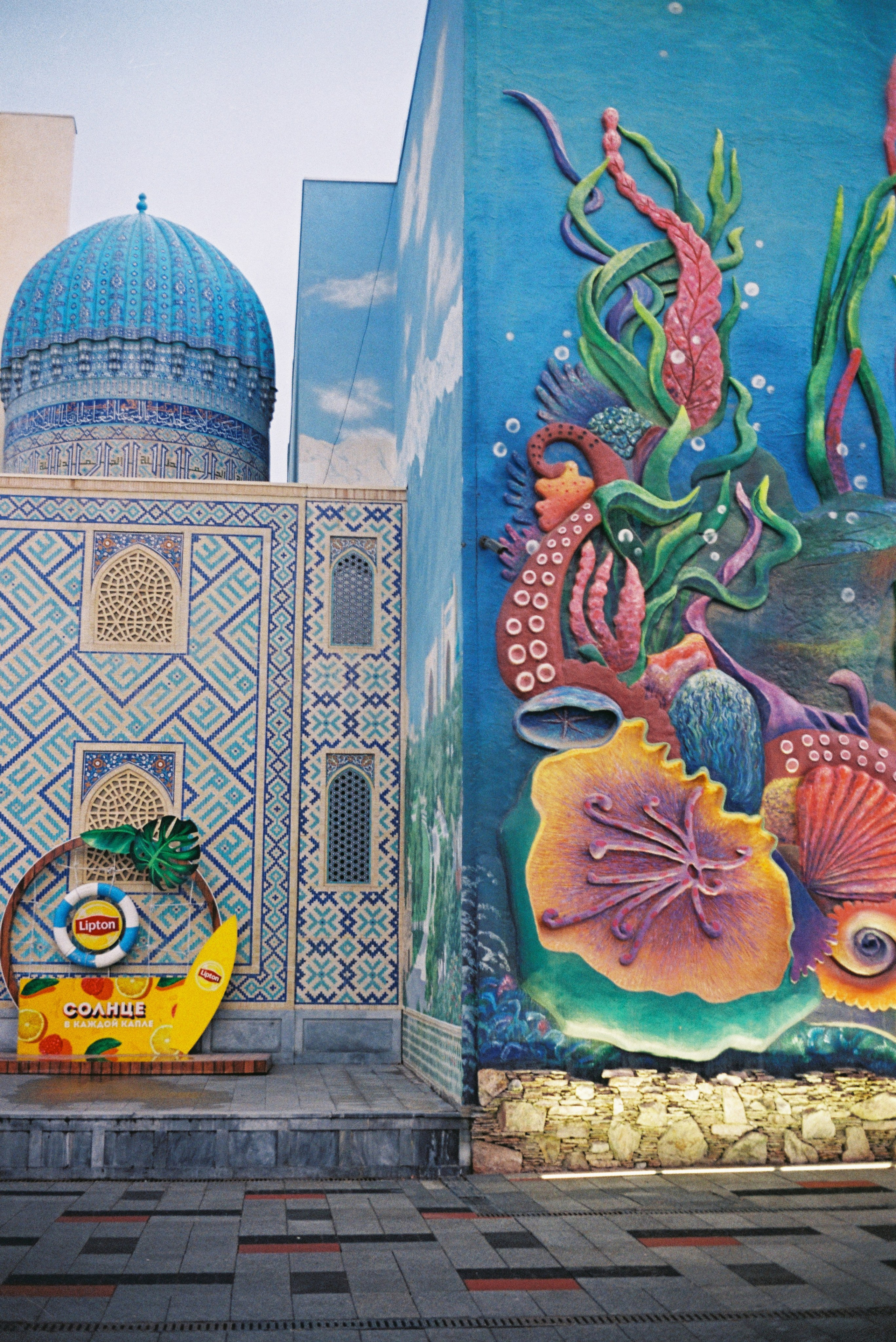 Tashkent 2022-2023. Dima Voronetsky