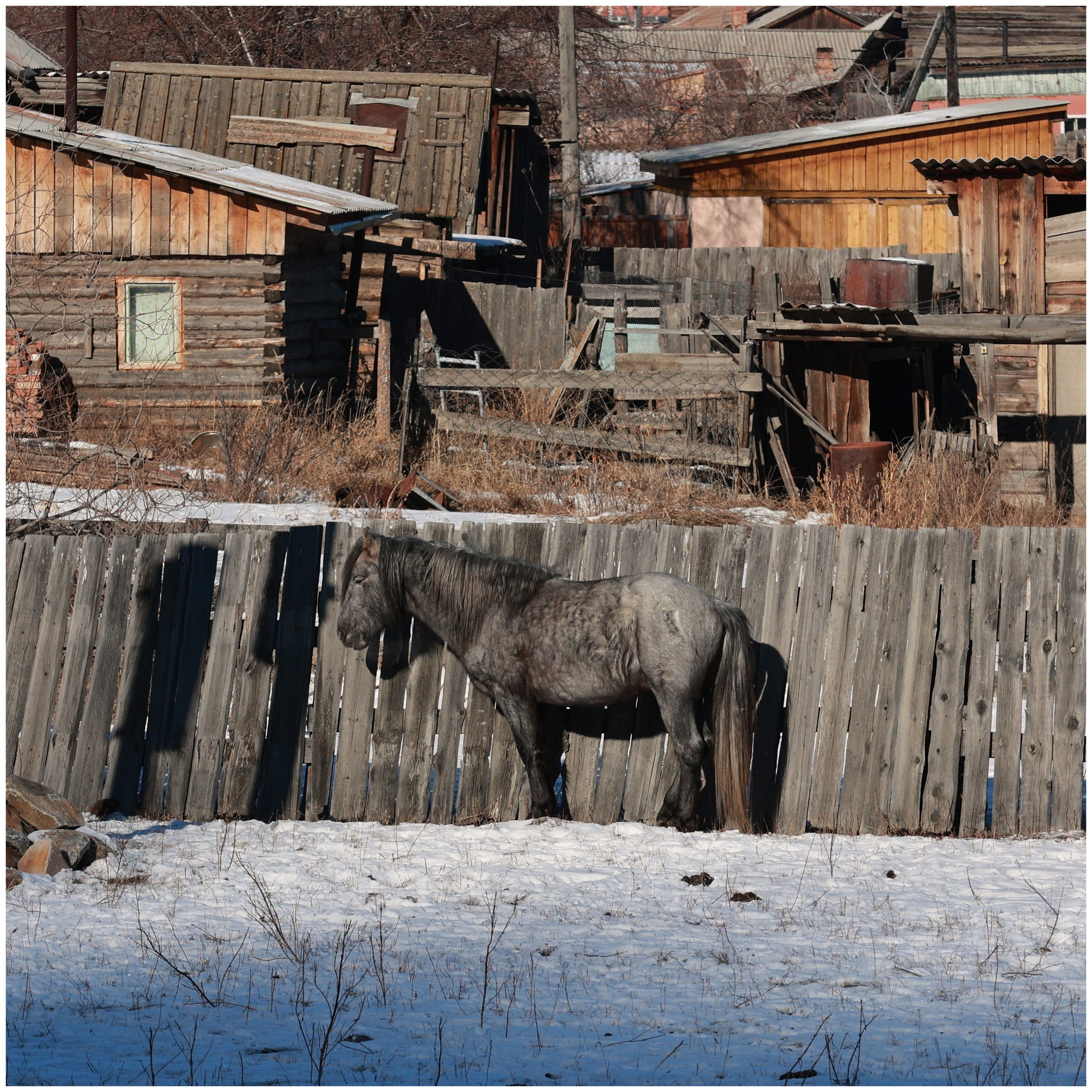 2024. Тащилин Сергей. Фотографии. Жизнь. Хобби