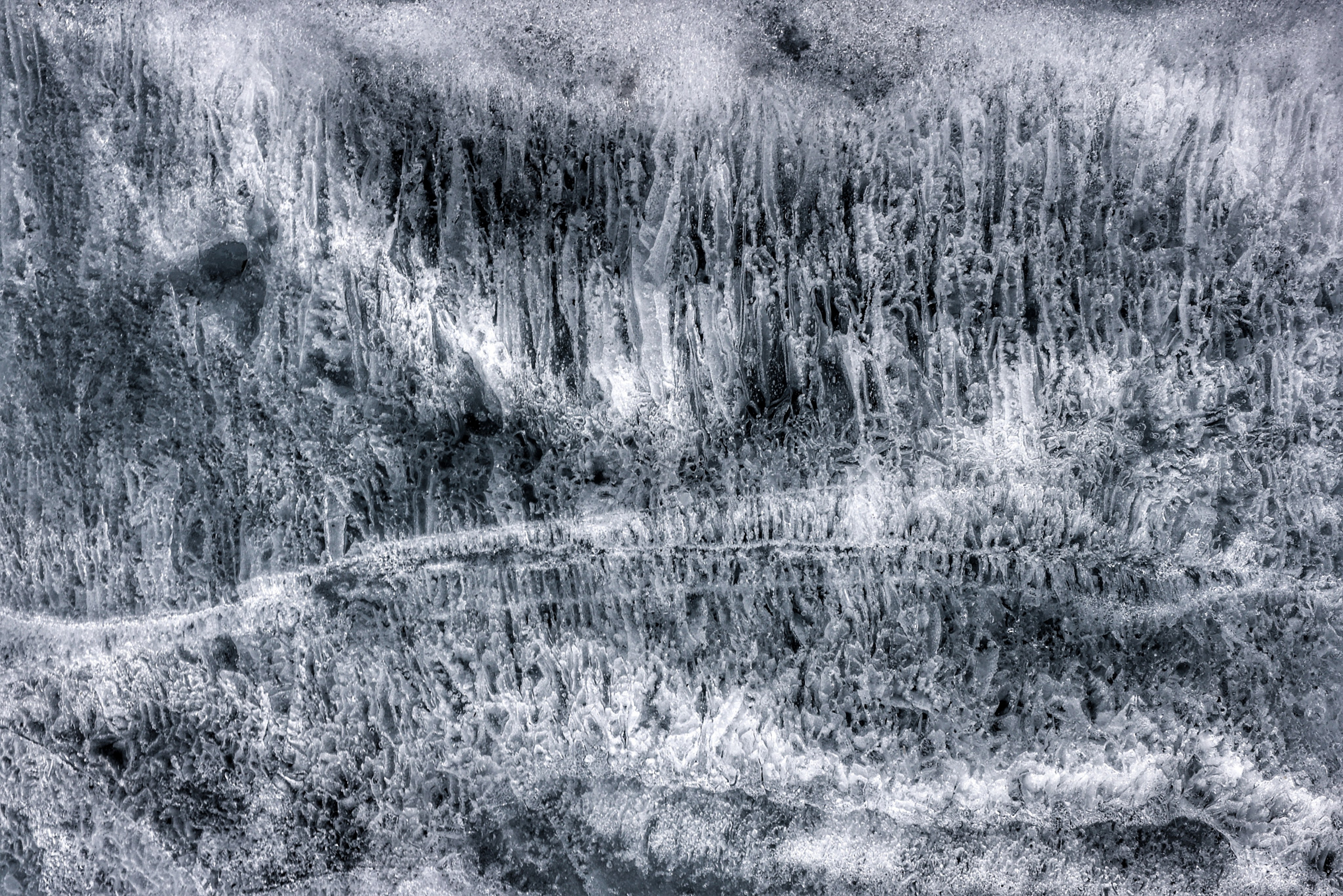 2025 год. Тащилин Сергей. Фотографии. Жизнь. Хобби