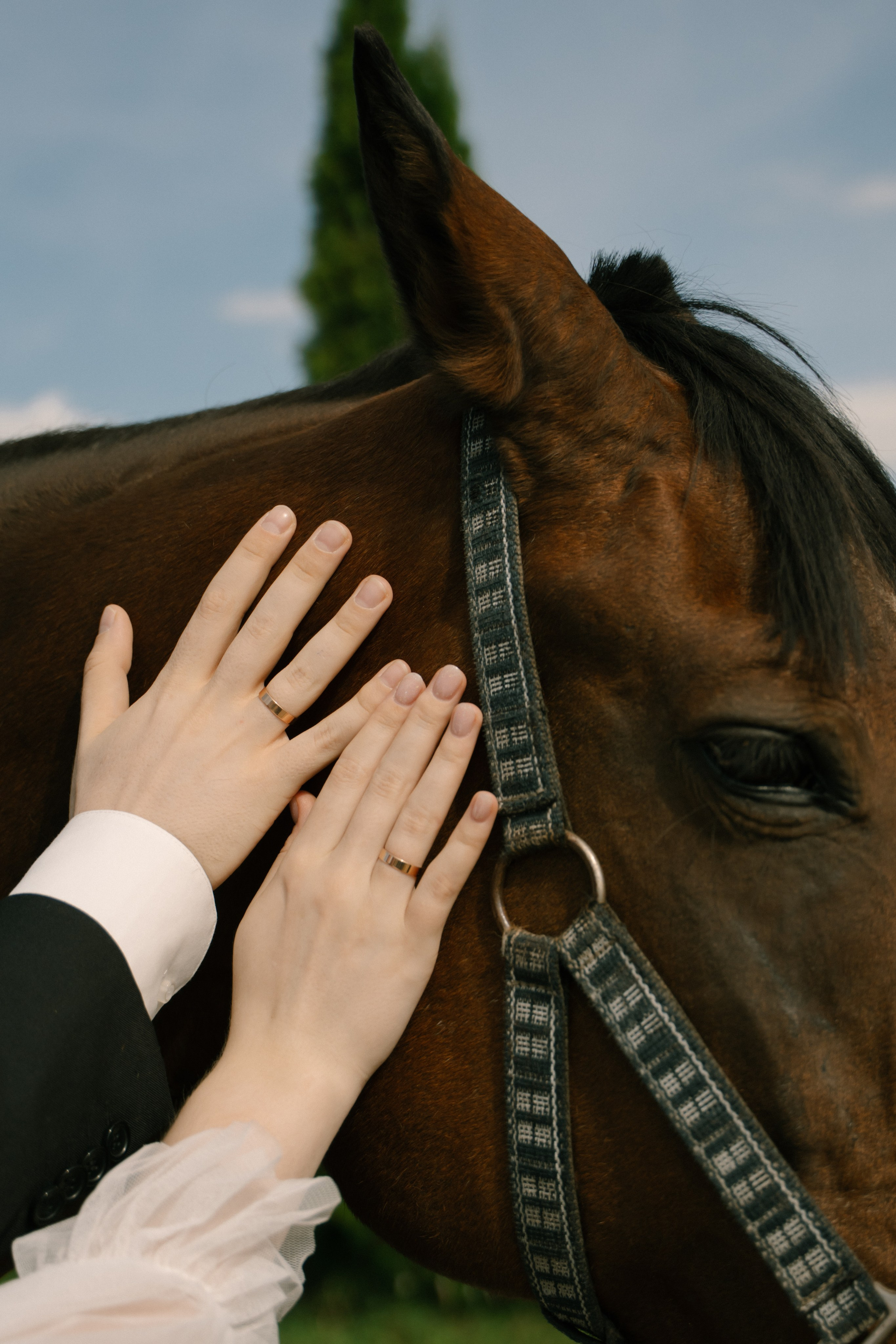 Екатерина и Тимофей. Ульяна Ремезова | Фотограф | Челябинск