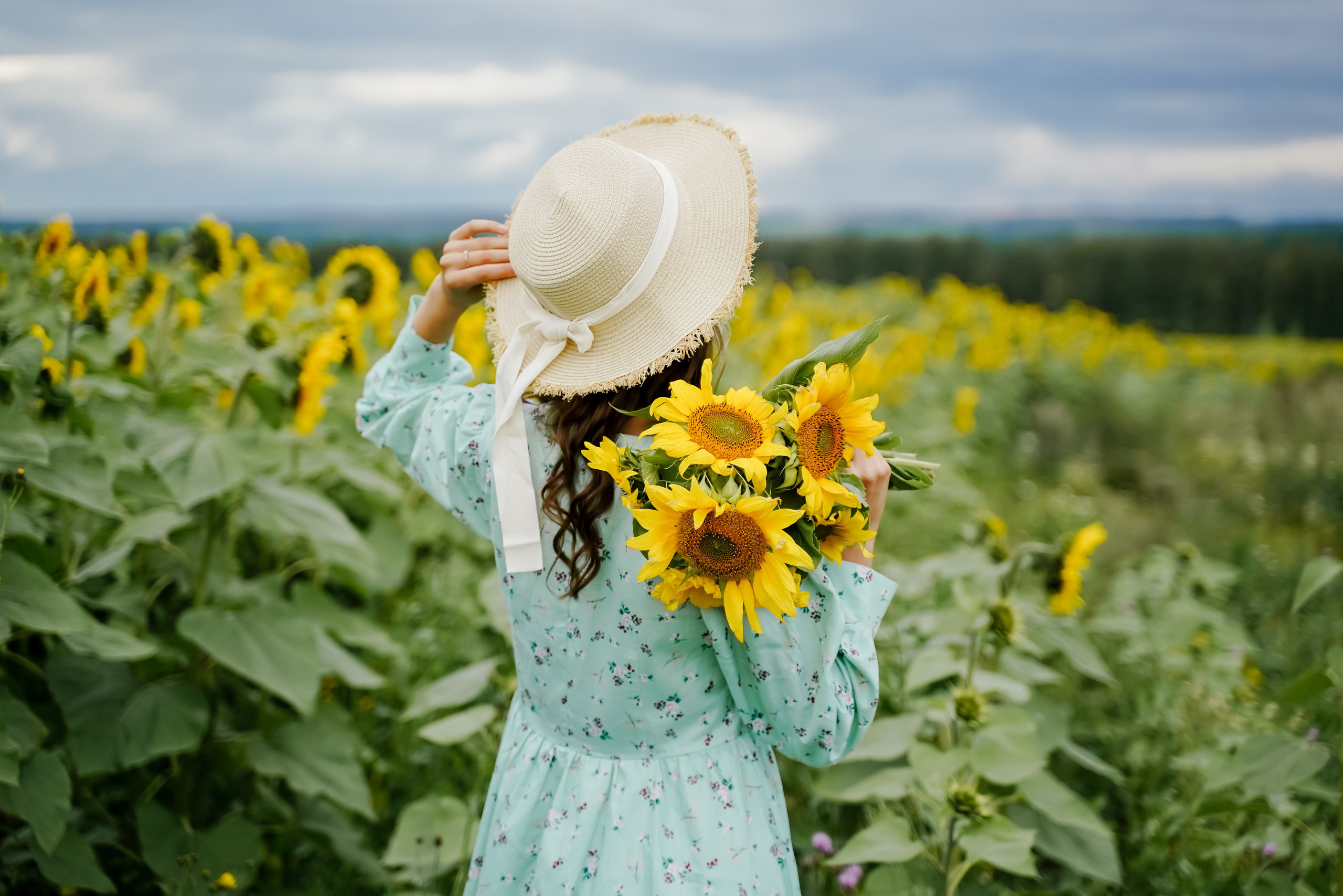 Подсолнухи. Бирск