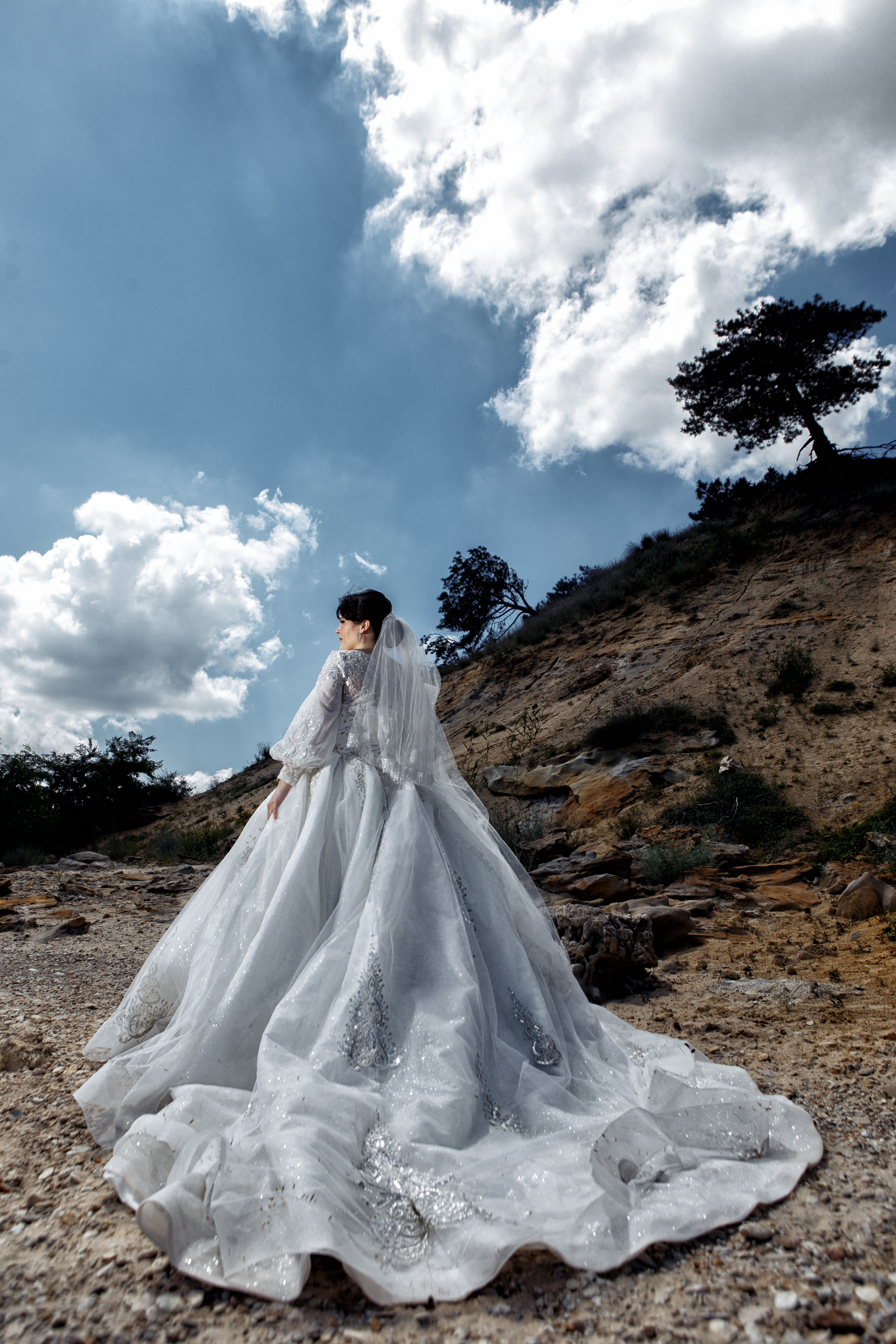 Свадьбы. Фотограф Дмитрий Олейник в Волгодонске и Ростове