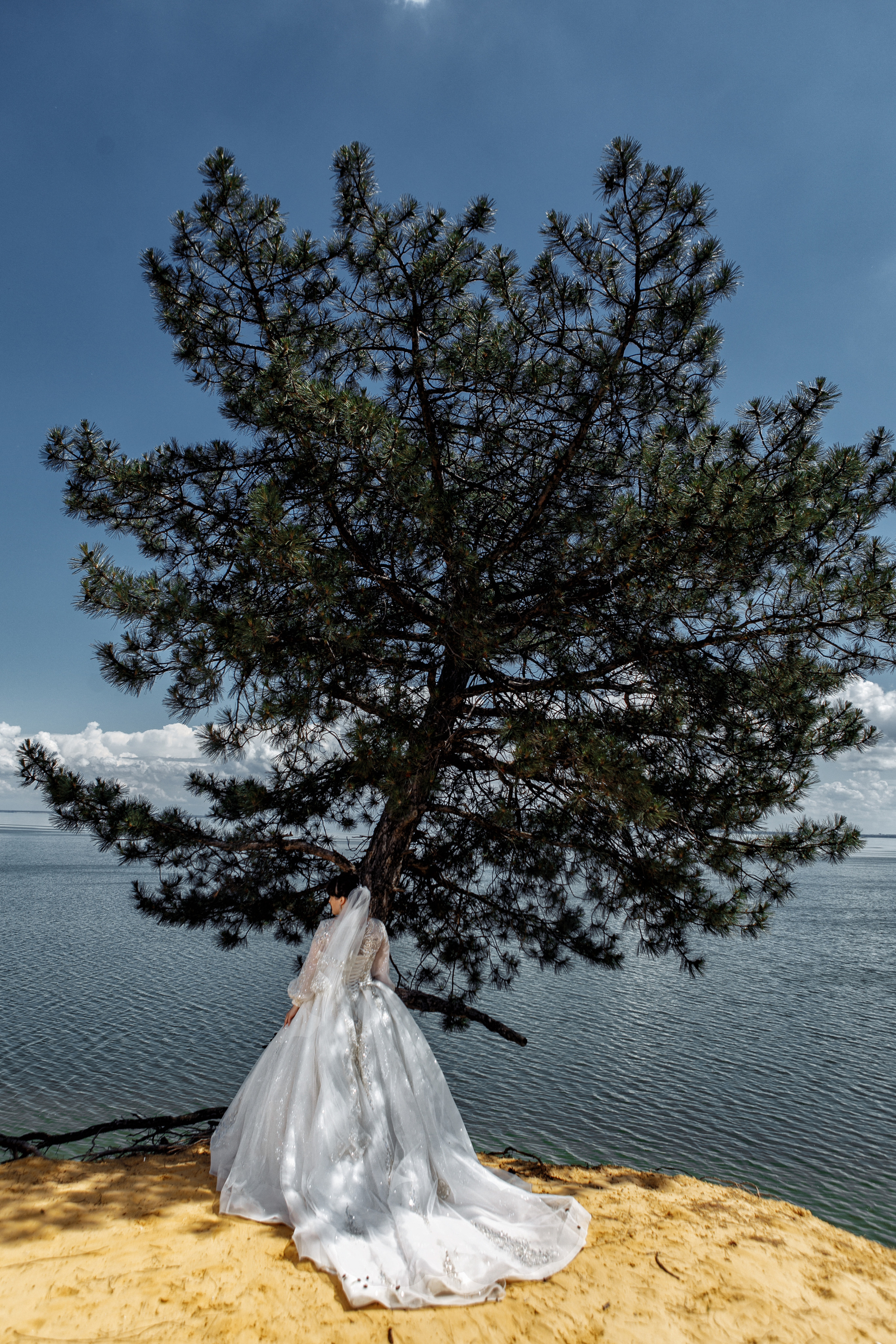 Свадьбы. Фотограф Дмитрий Олейник в Волгодонске и Ростове