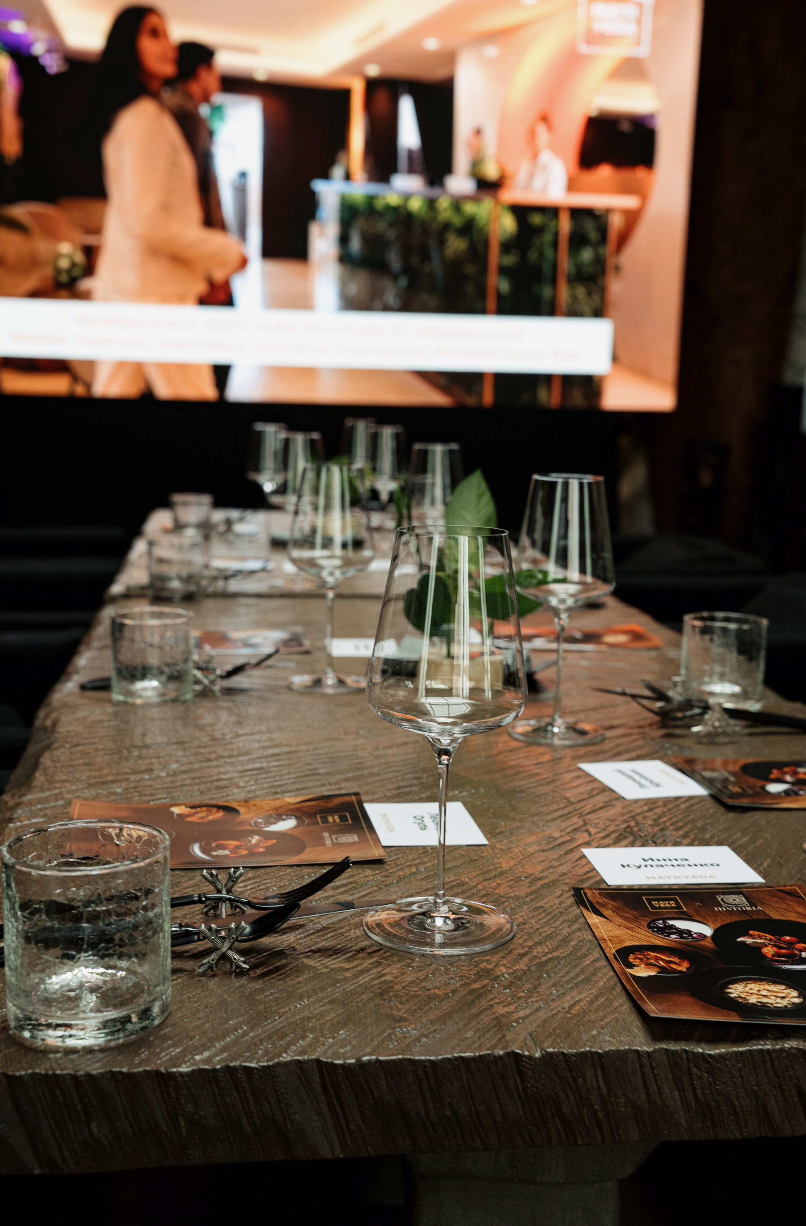 MAYR VEDA. Yankovski_001