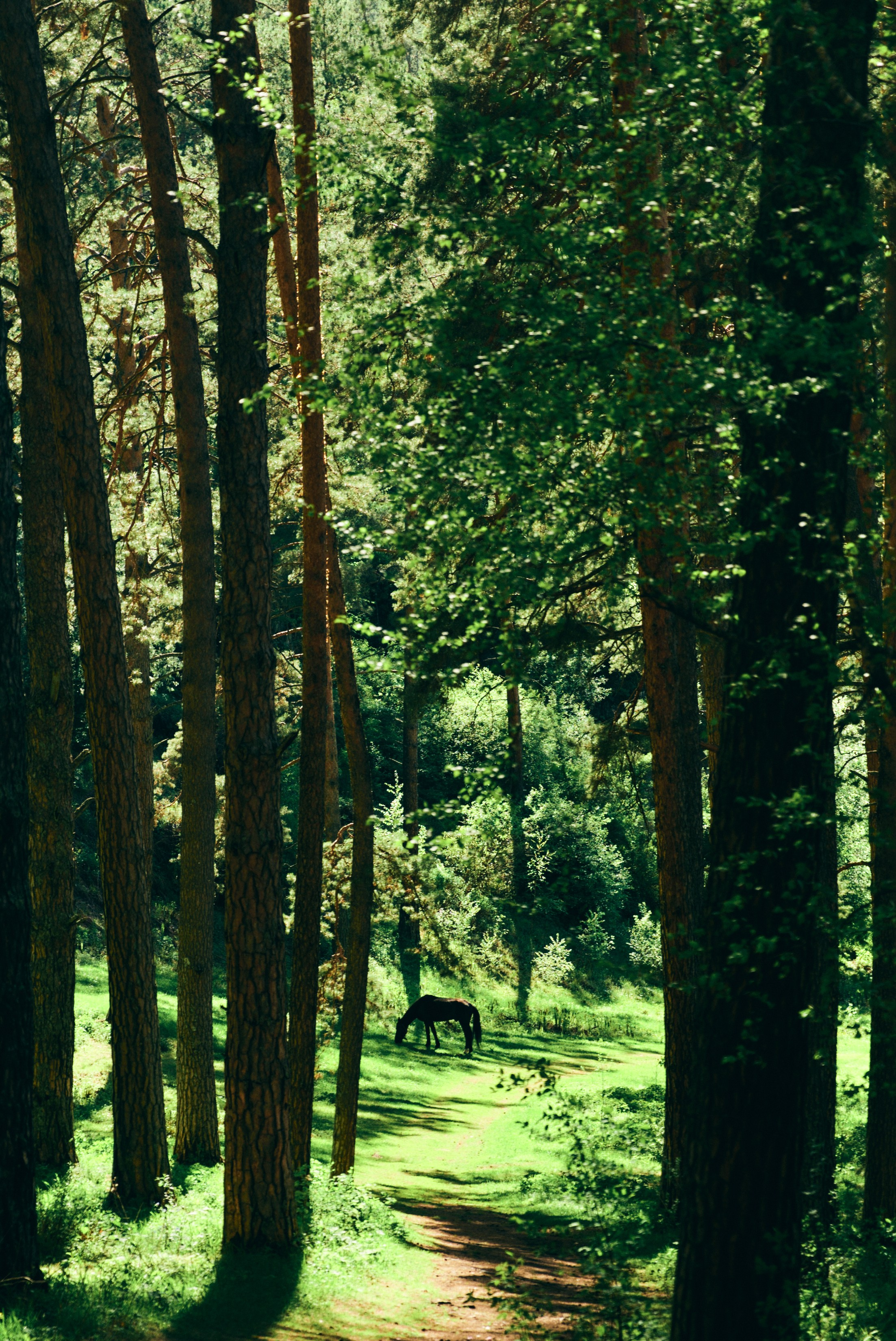 BAON x ALTAY. Фотограф Сурков Никита