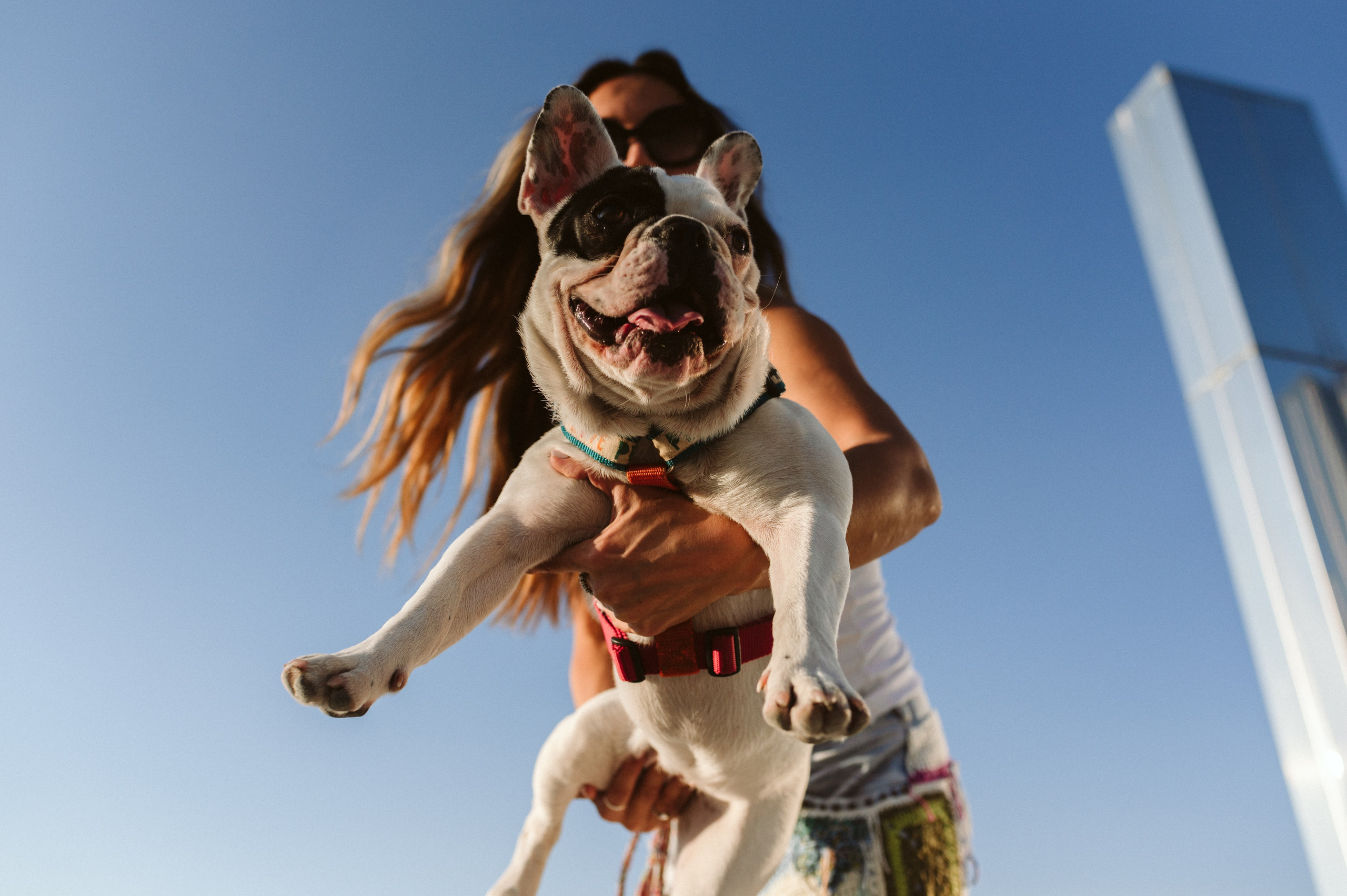 Инна и Белль. Фотограф анималист в Москве Ольга Агушева
