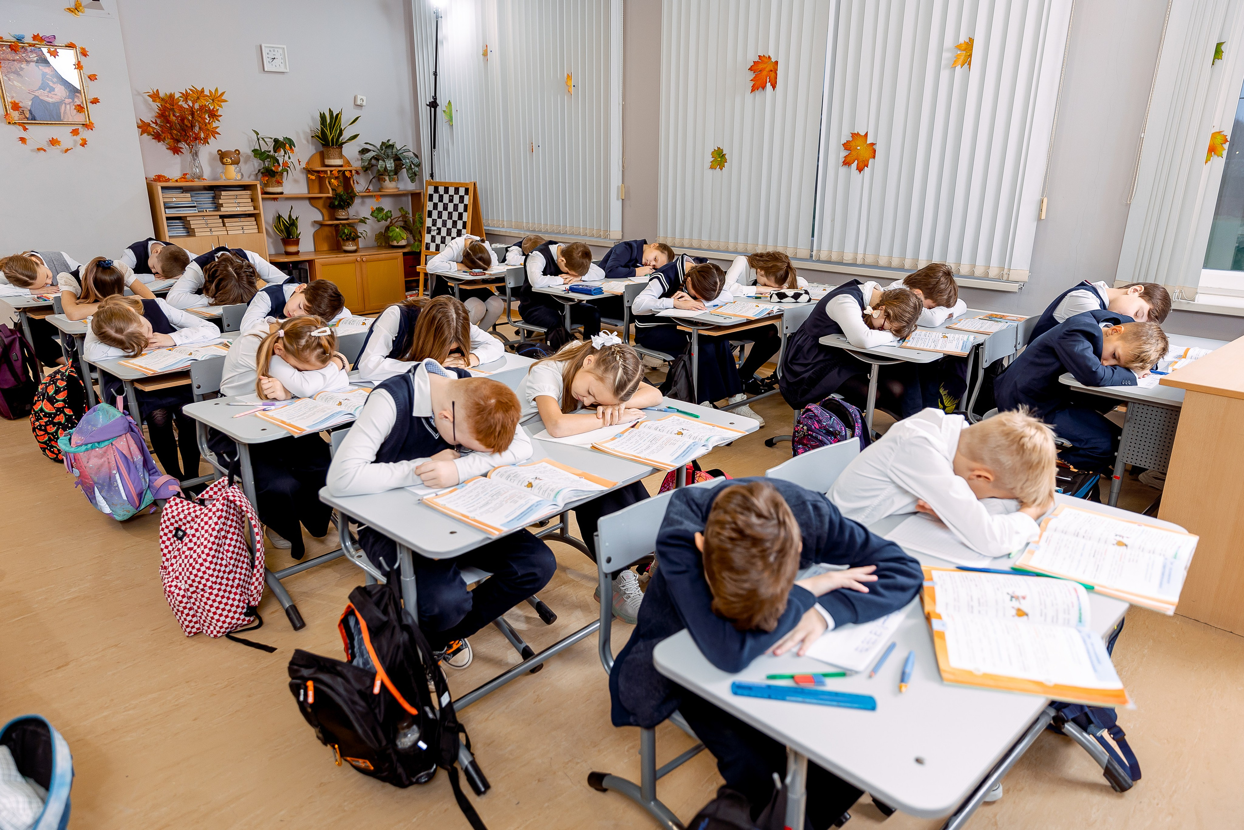 Репортаж на уроках. Семейный и детский фотограф Комина Елена, Власиха, Одинцово