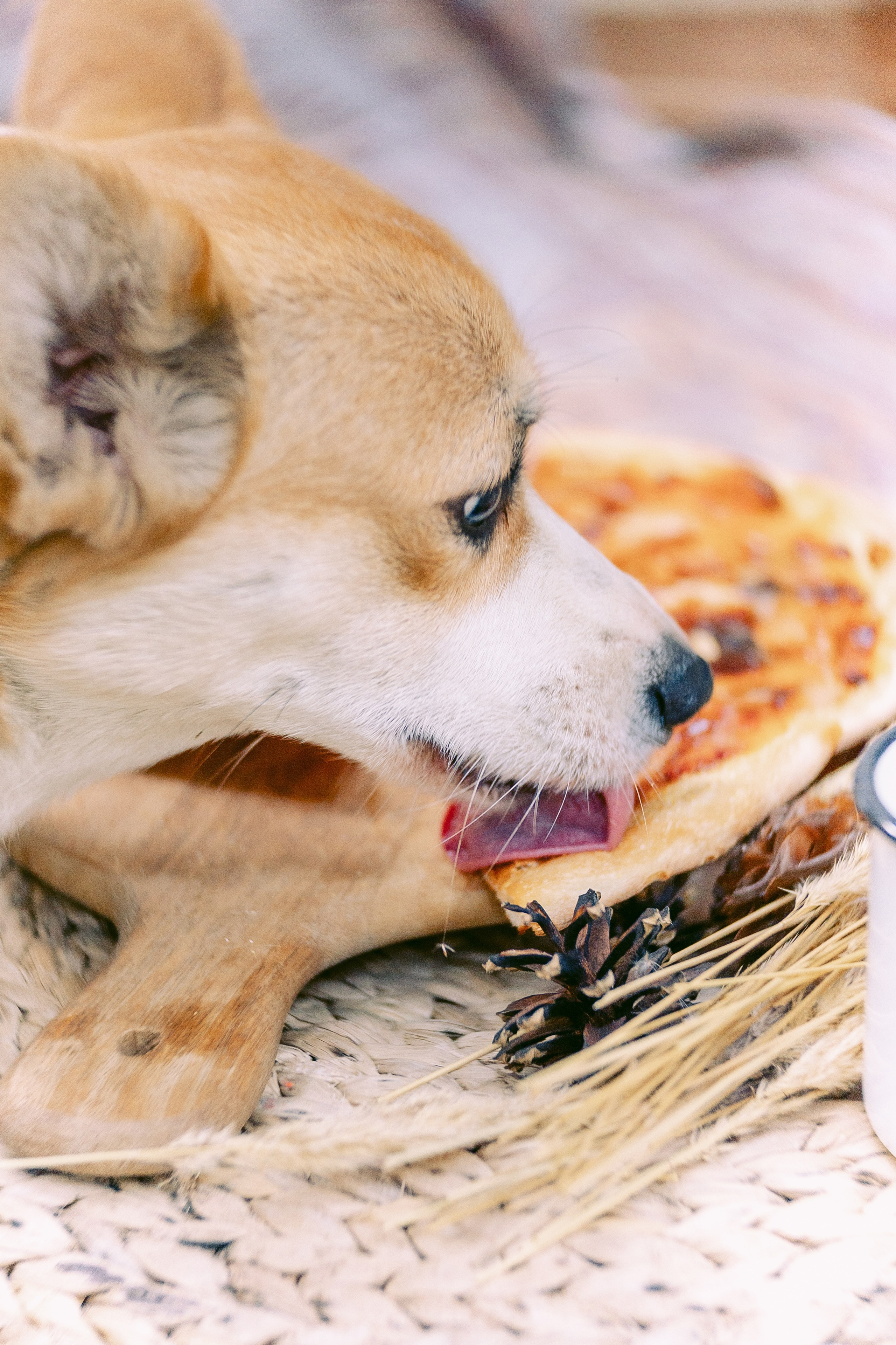 Фотограф лавстори Love story. Фотограф Москва — Павел Михайлов