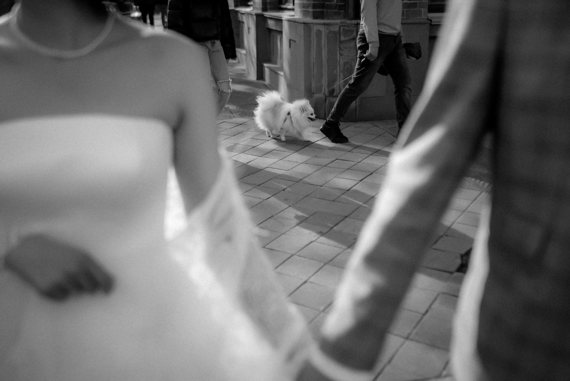 ВОЗДУХ. Свадебный фотограф в Ставрополе Сергей Шляхов